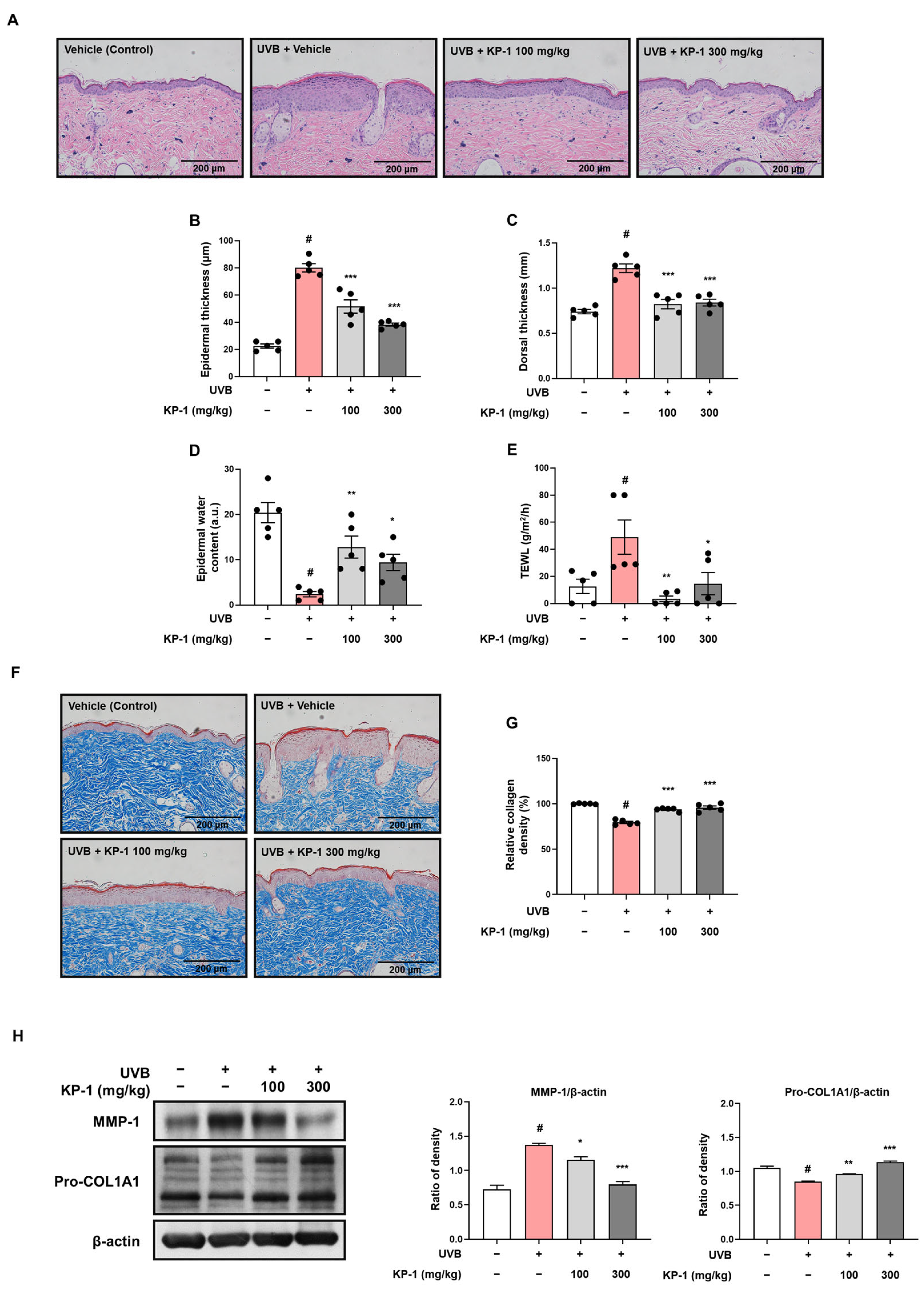 Pharmaceuticals 18 01490 g003 Pharmaceuticals 18 01490 g003
