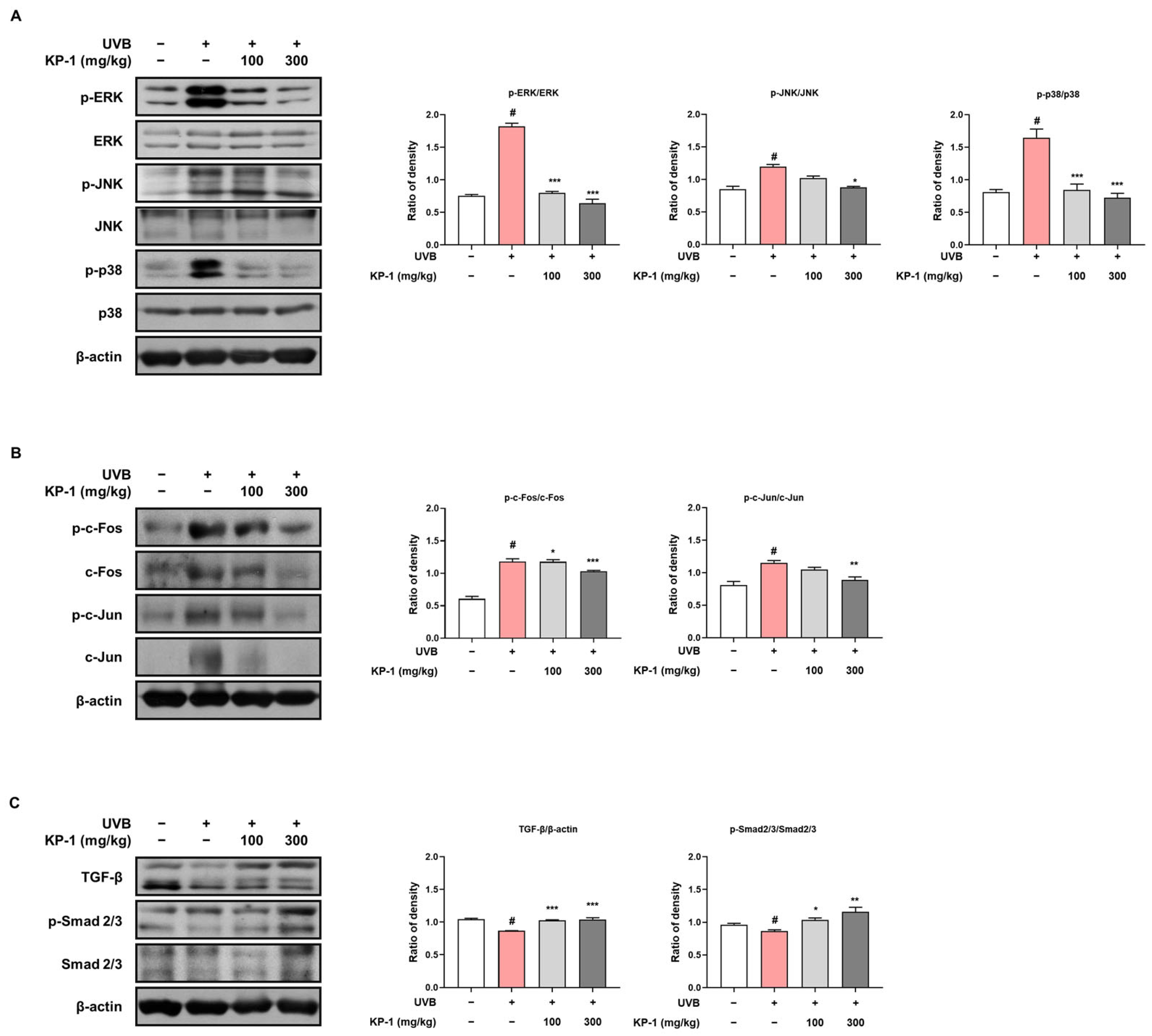 Pharmaceuticals 18 01490 g004 Pharmaceuticals 18 01490 g004