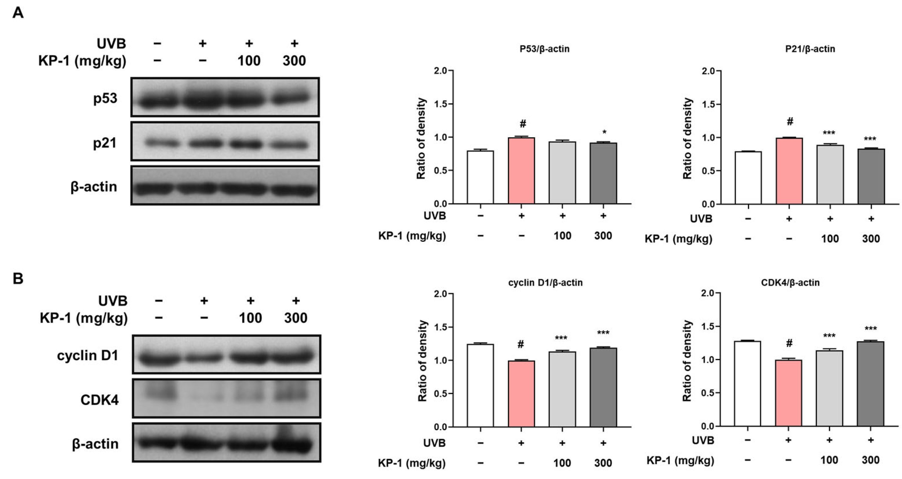 Pharmaceuticals 18 01490 g005 Pharmaceuticals 18 01490 g005