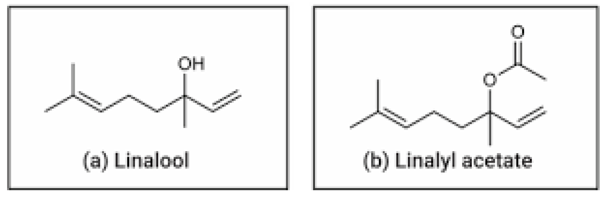 Pharmaceuticals 18 01499 g001 Pharmaceuticals 18 01499 g001