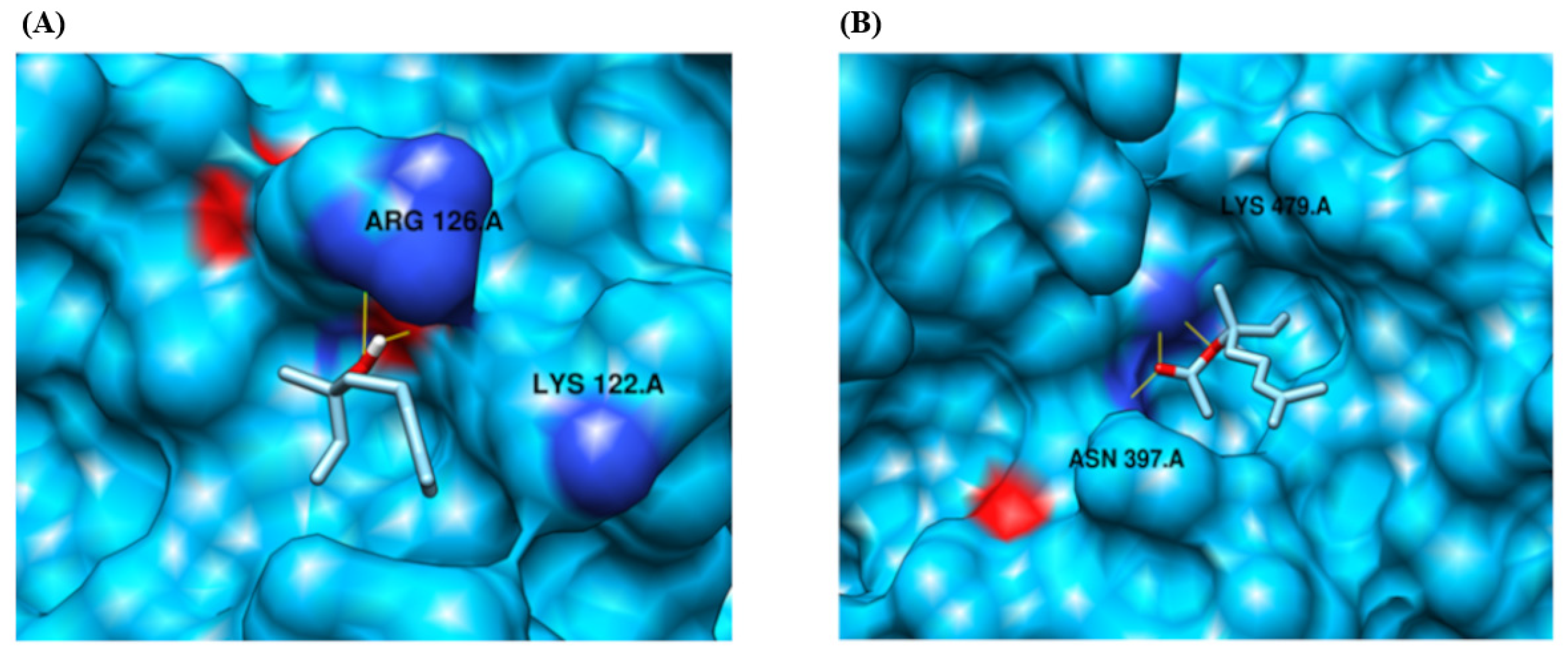 Pharmaceuticals 18 01499 g007 Pharmaceuticals 18 01499 g007