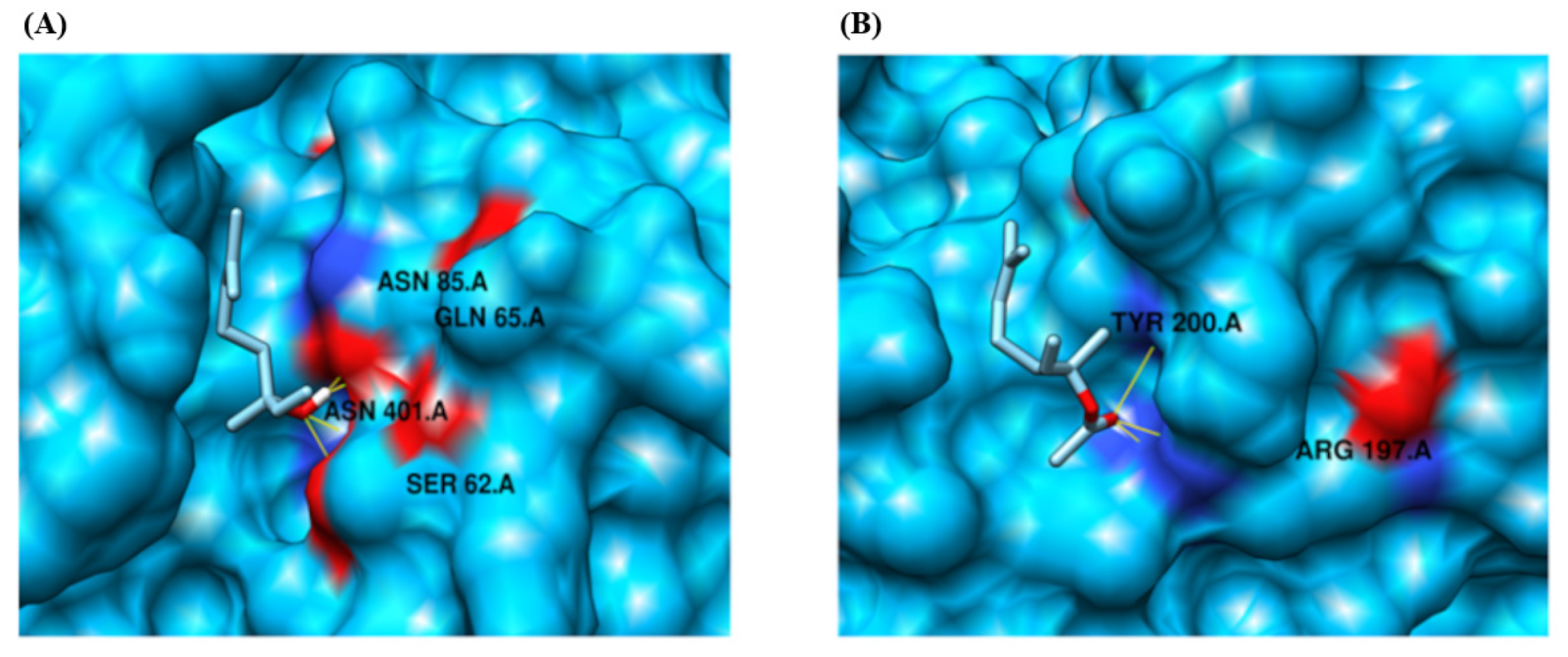 Pharmaceuticals 18 01499 g009 Pharmaceuticals 18 01499 g009
