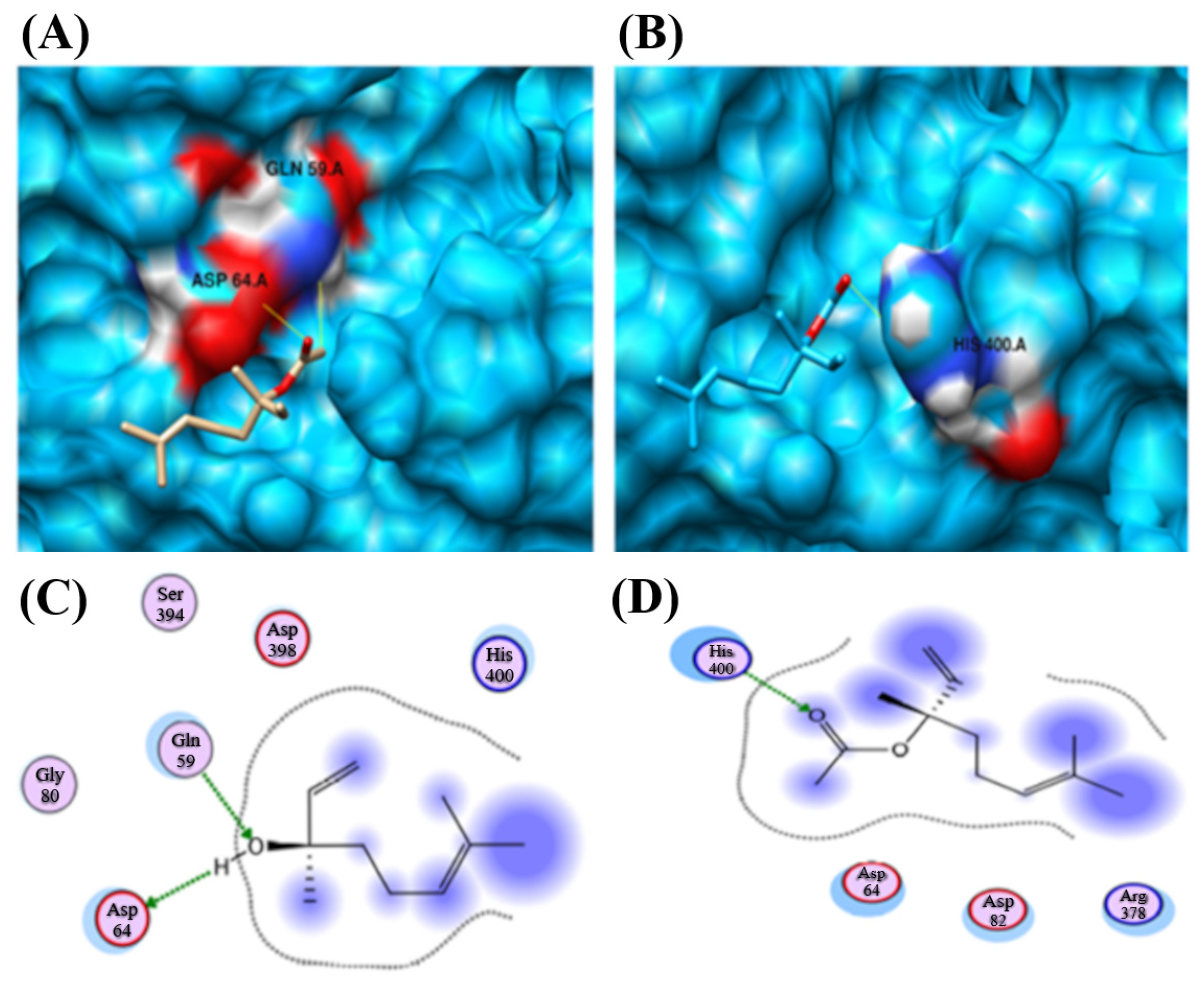 Pharmaceuticals 18 01499 g012 Pharmaceuticals 18 01499 g012