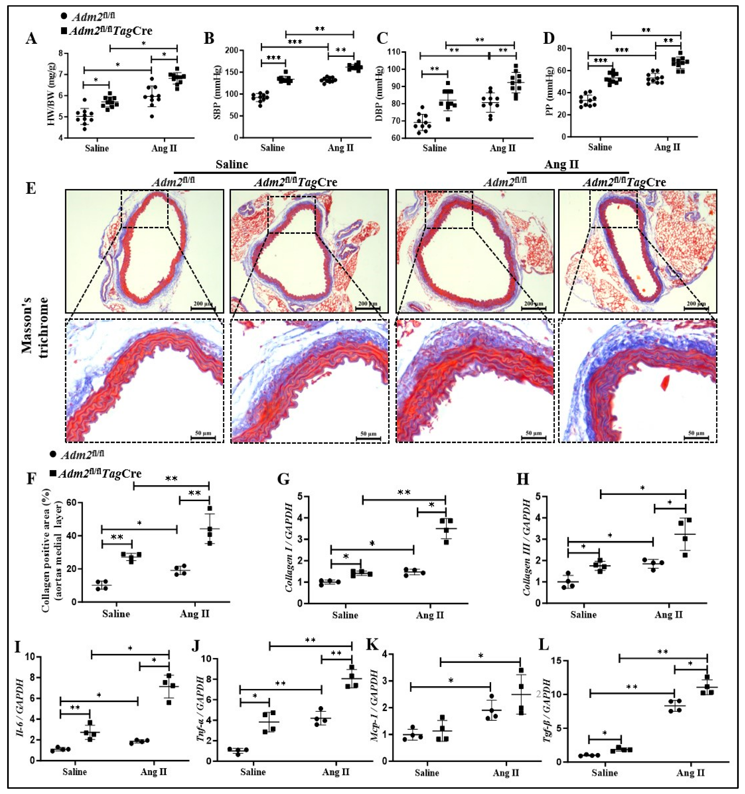Pharmaceuticals 18 01503 g003 Pharmaceuticals 18 01503 g003