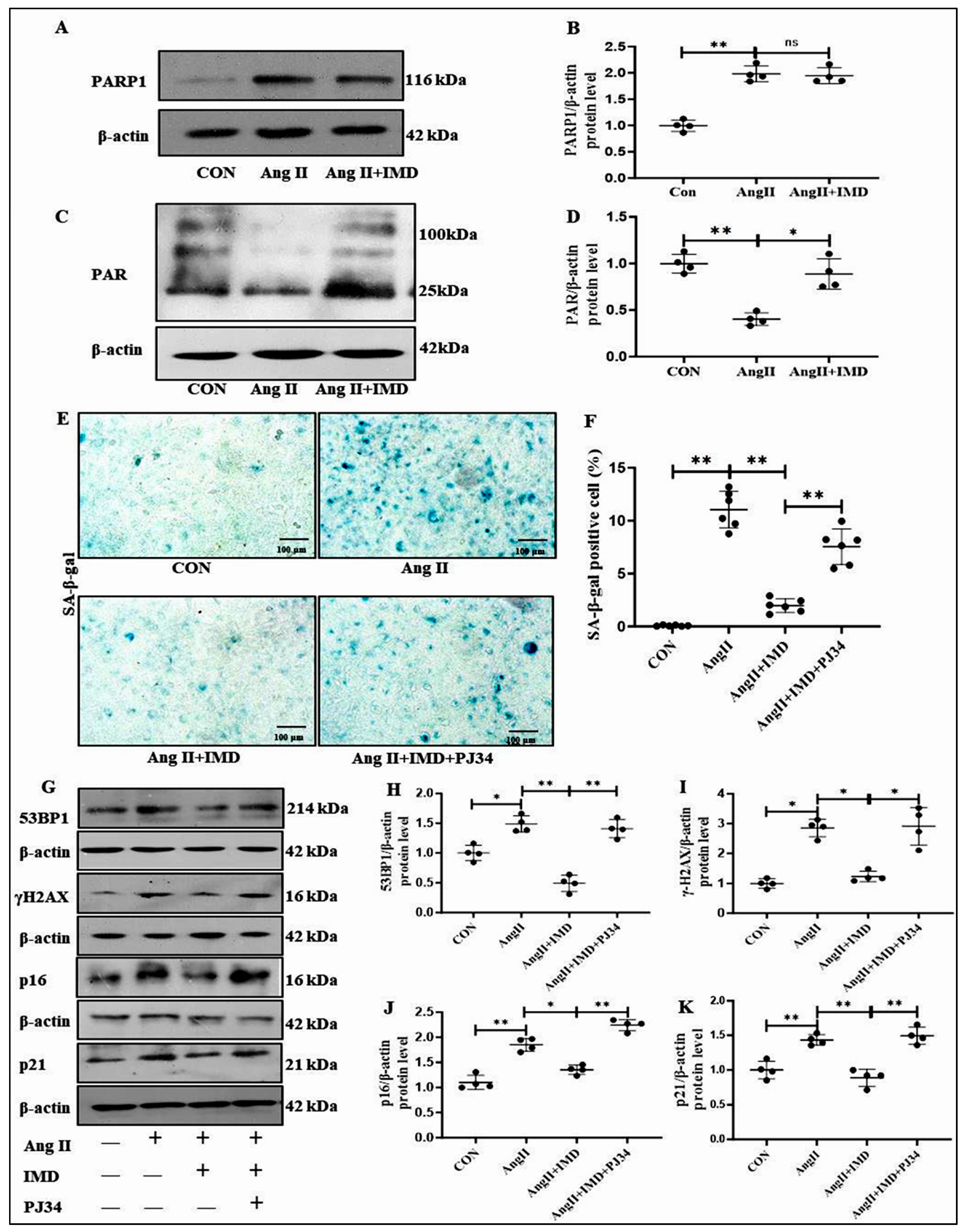 Pharmaceuticals 18 01503 g005 Pharmaceuticals 18 01503 g005