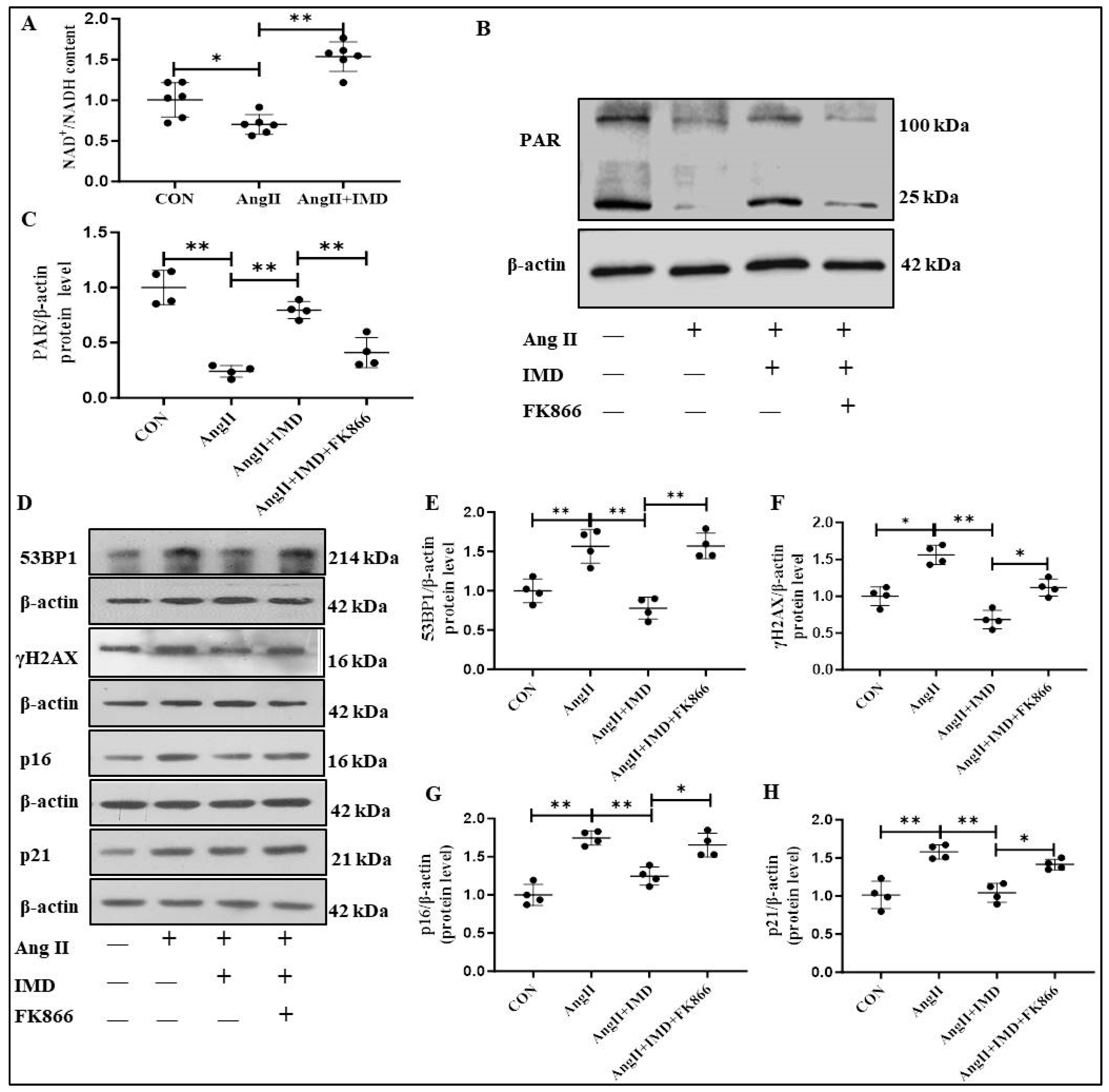 Pharmaceuticals 18 01503 g006 Pharmaceuticals 18 01503 g006