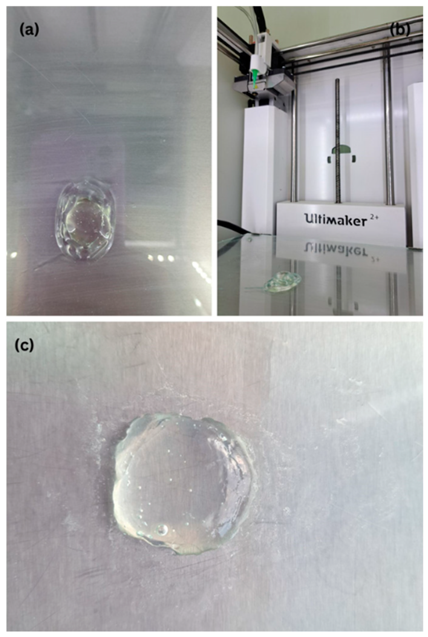 Pharmaceuticals 18 01504 g001 Pharmaceuticals 18 01504 g001