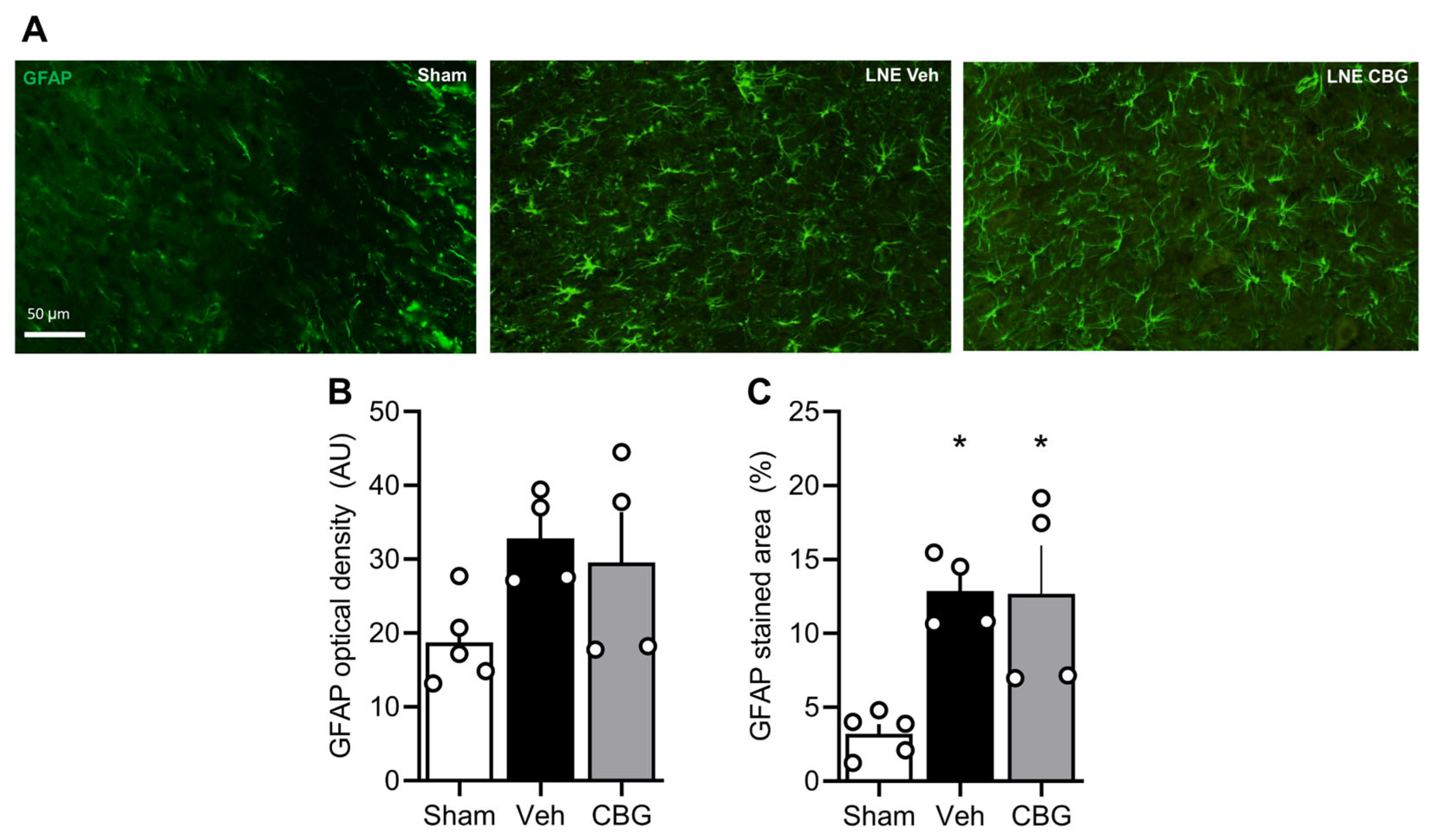 Pharmaceuticals 18 01508 g003 Pharmaceuticals 18 01508 g003