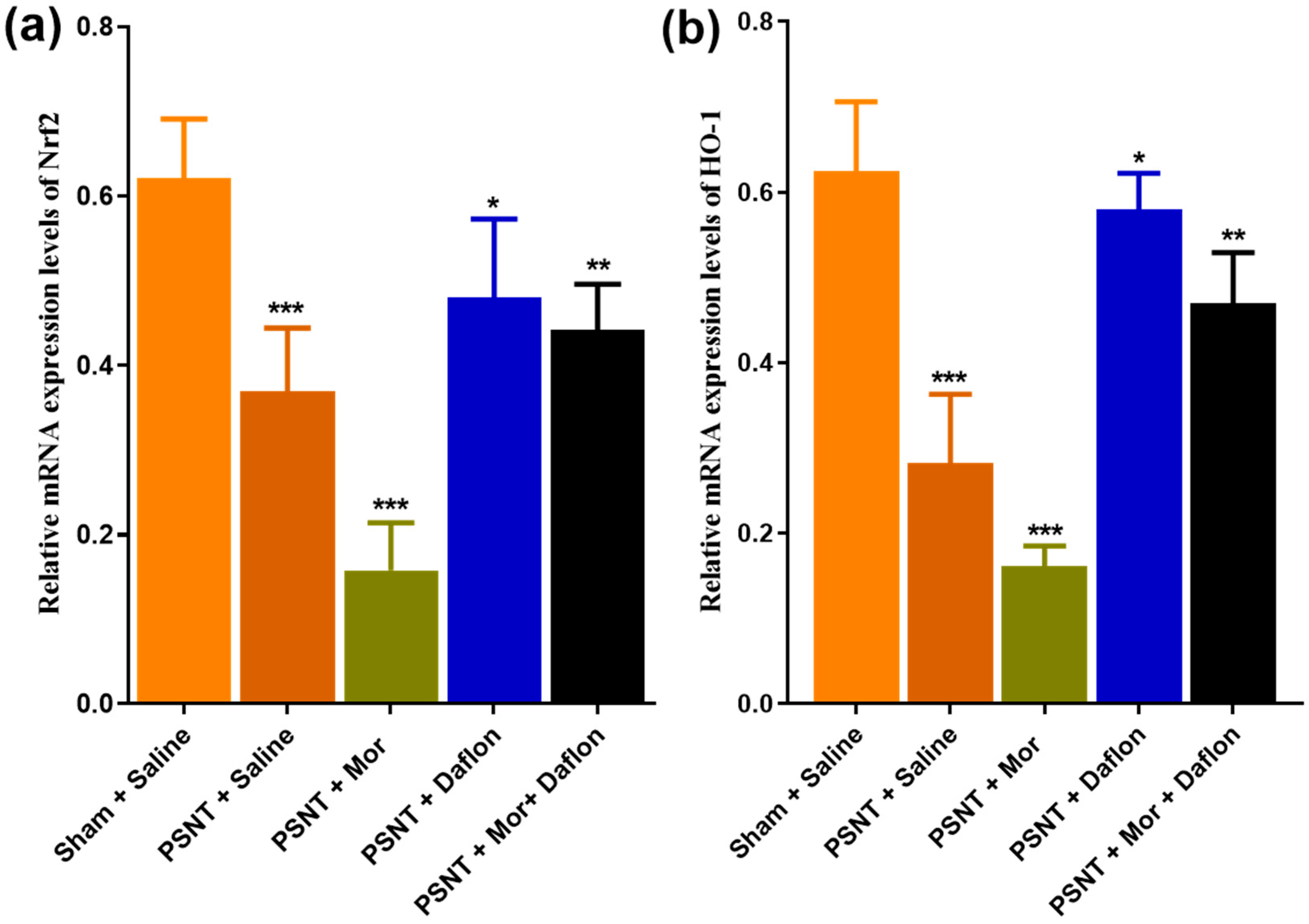 Pharmaceuticals 18 01513 g003