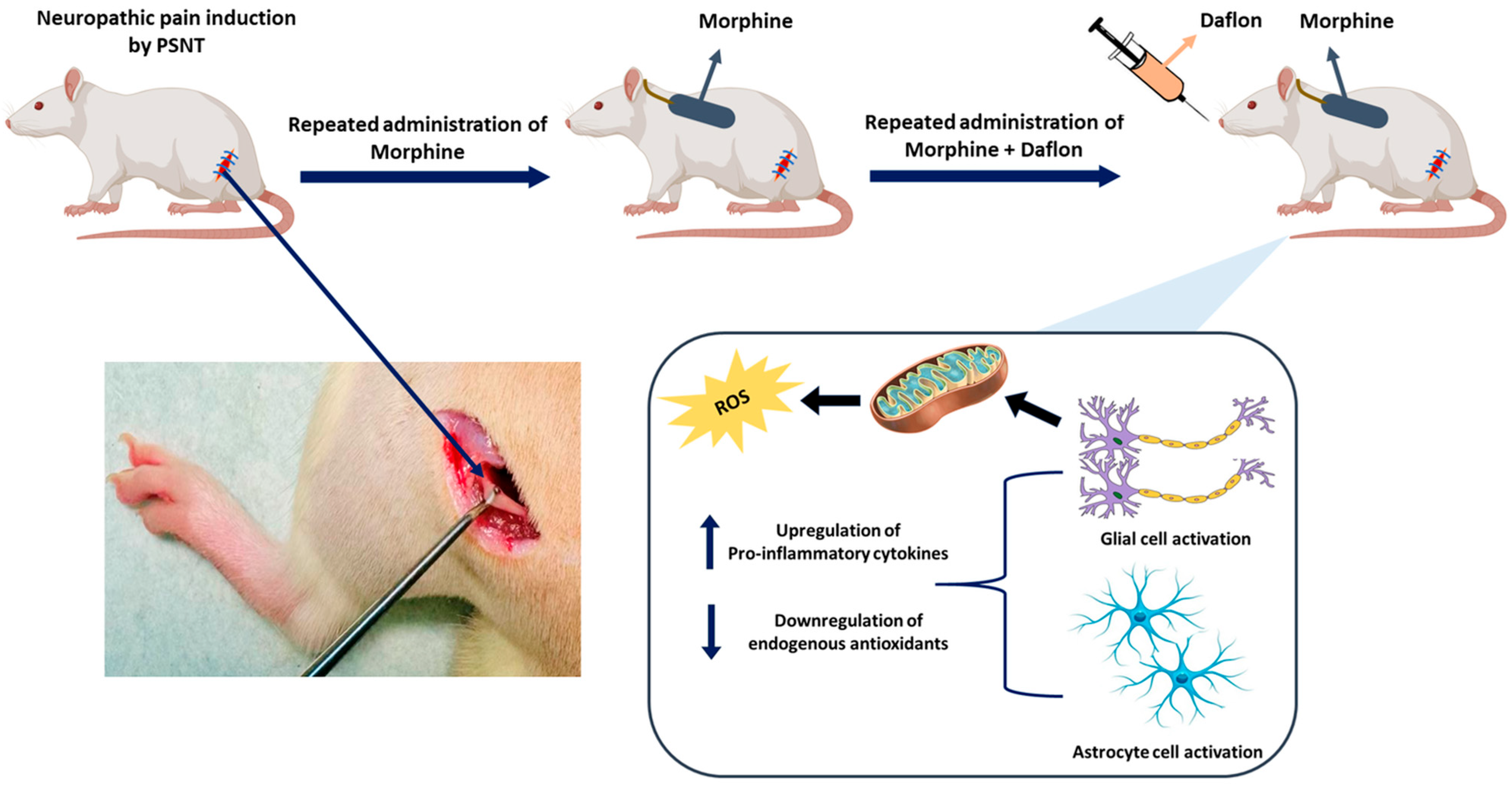 Pharmaceuticals 18 01513 g008