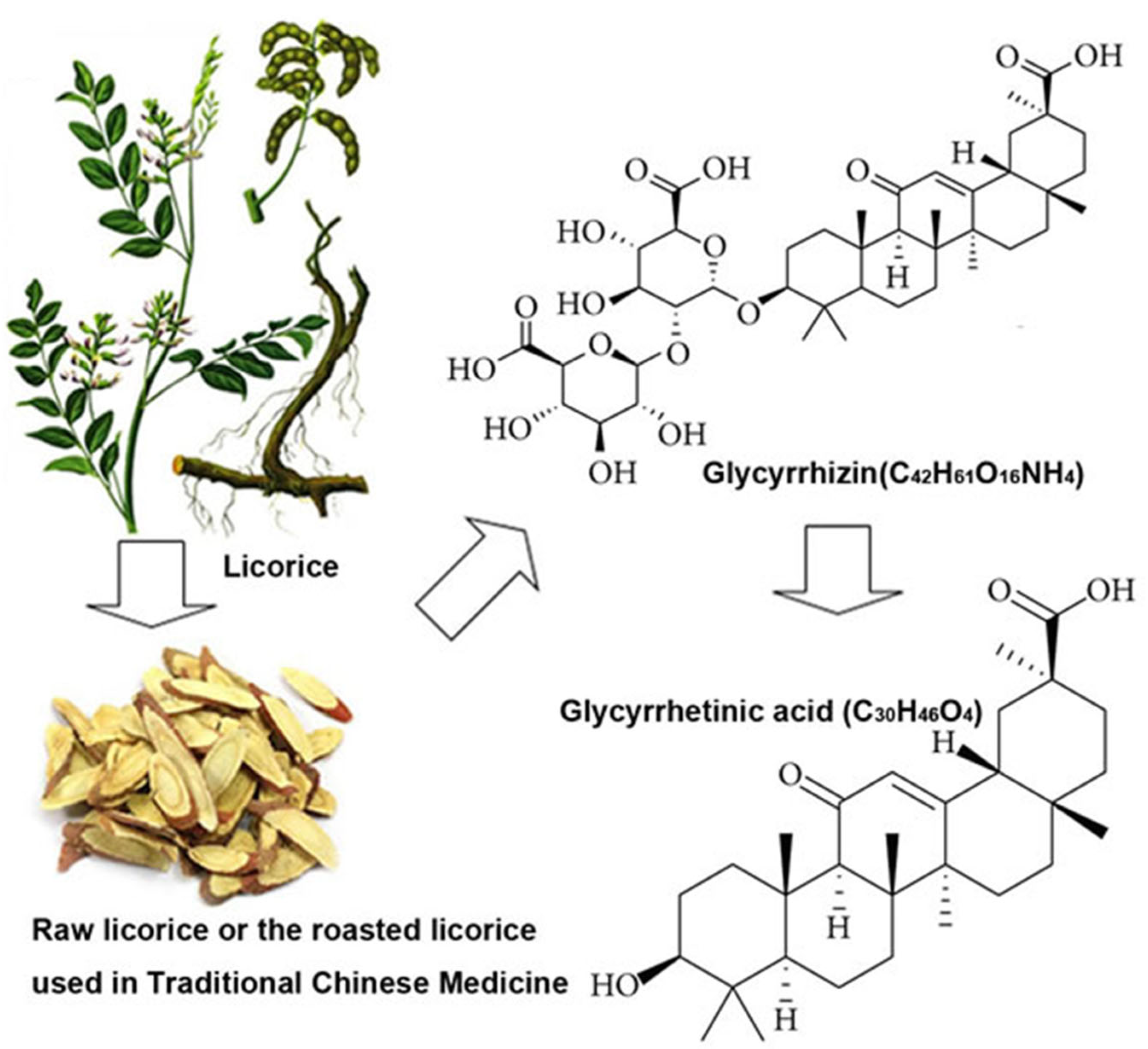 Pharmaceuticals 18 01517 g001