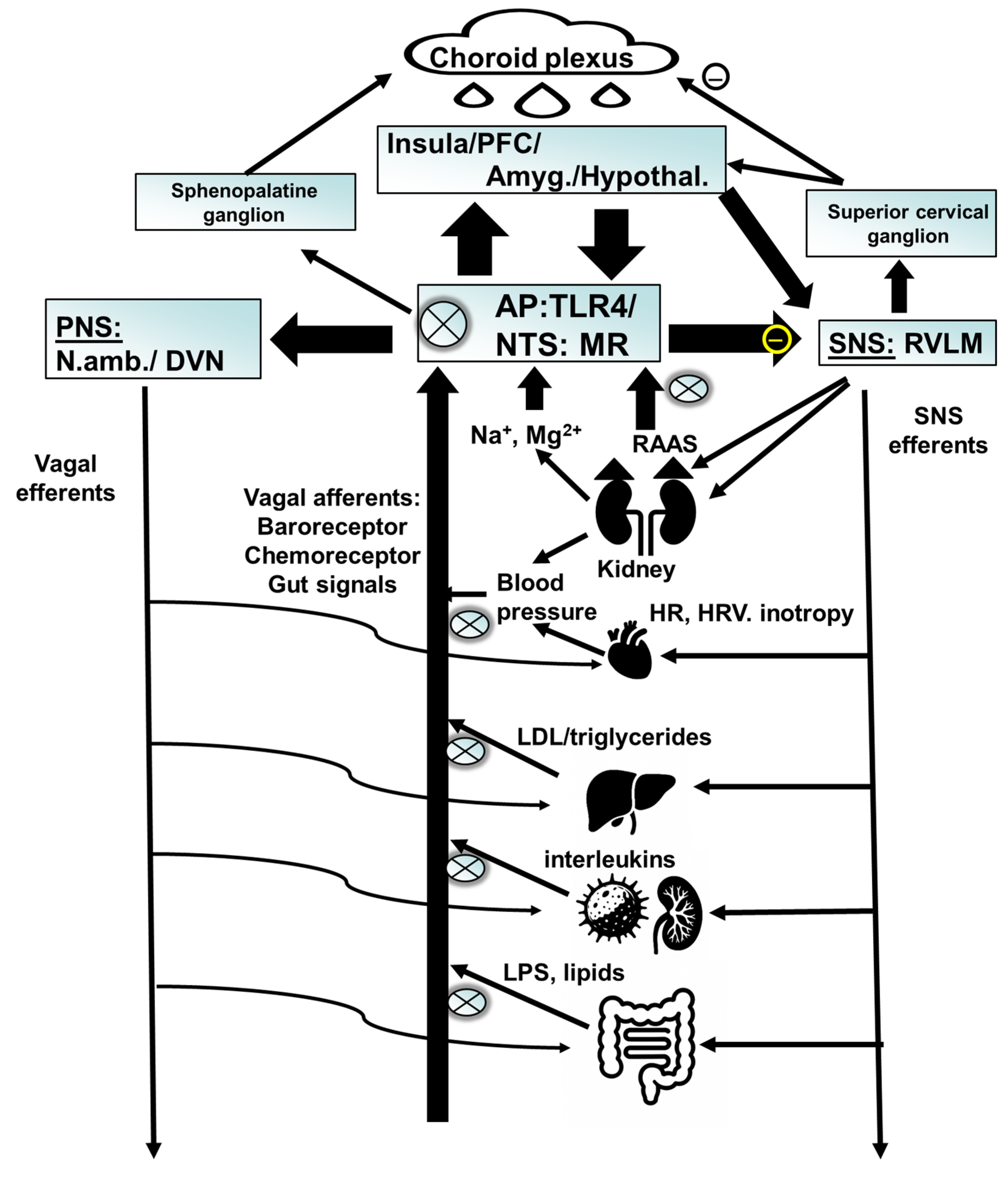 Pharmaceuticals 18 01517 g003