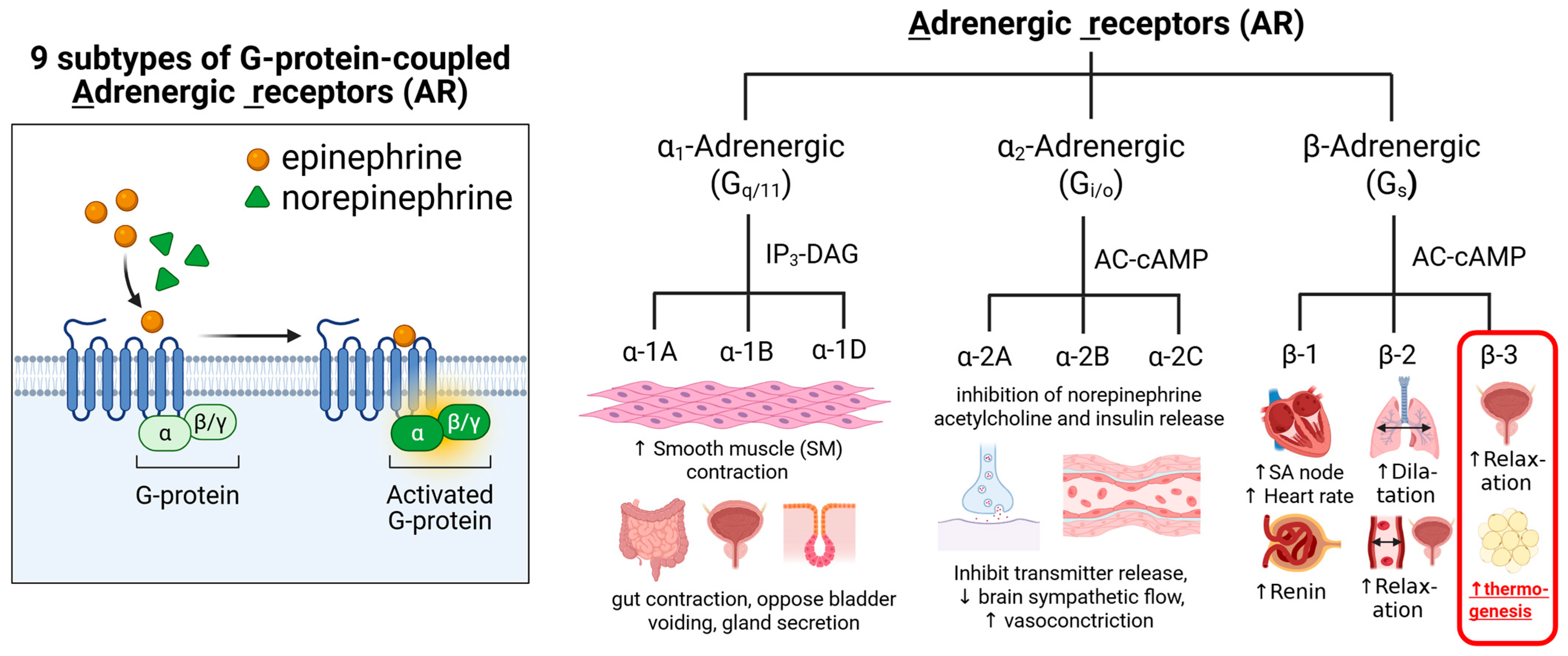 Pharmaceuticals 18 01519 g002