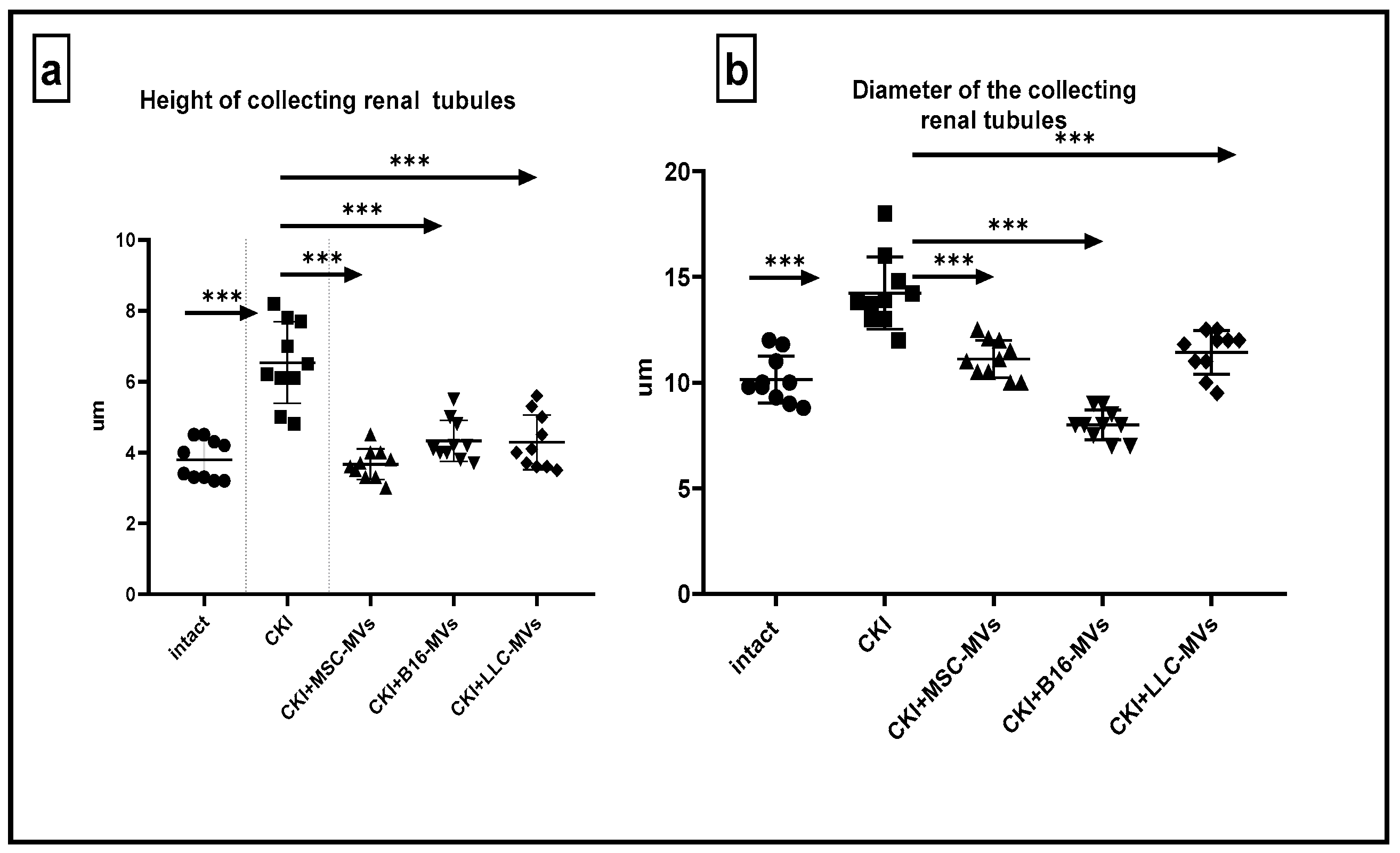 Pharmaceuticals 18 01520 g006