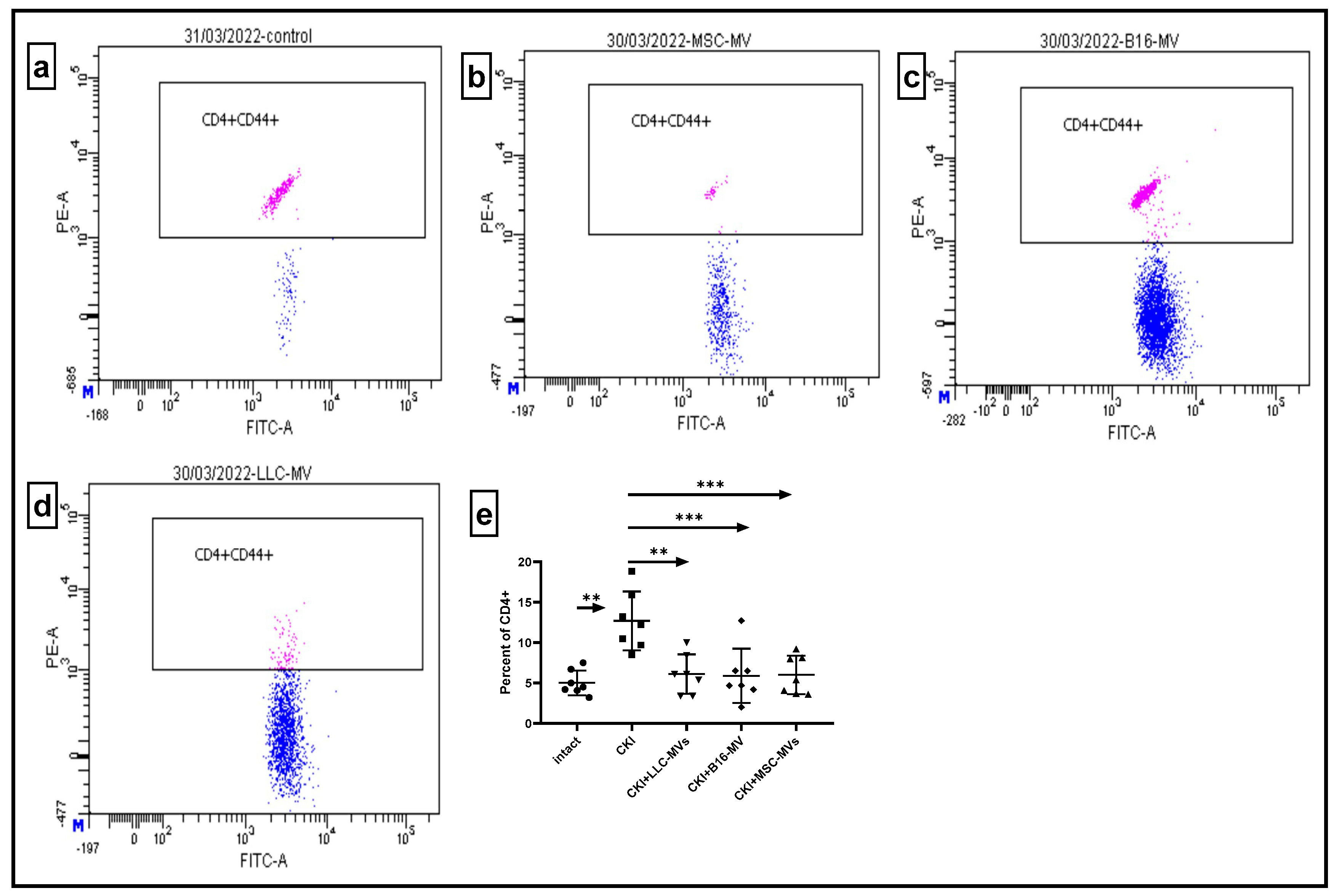 Pharmaceuticals 18 01520 g007