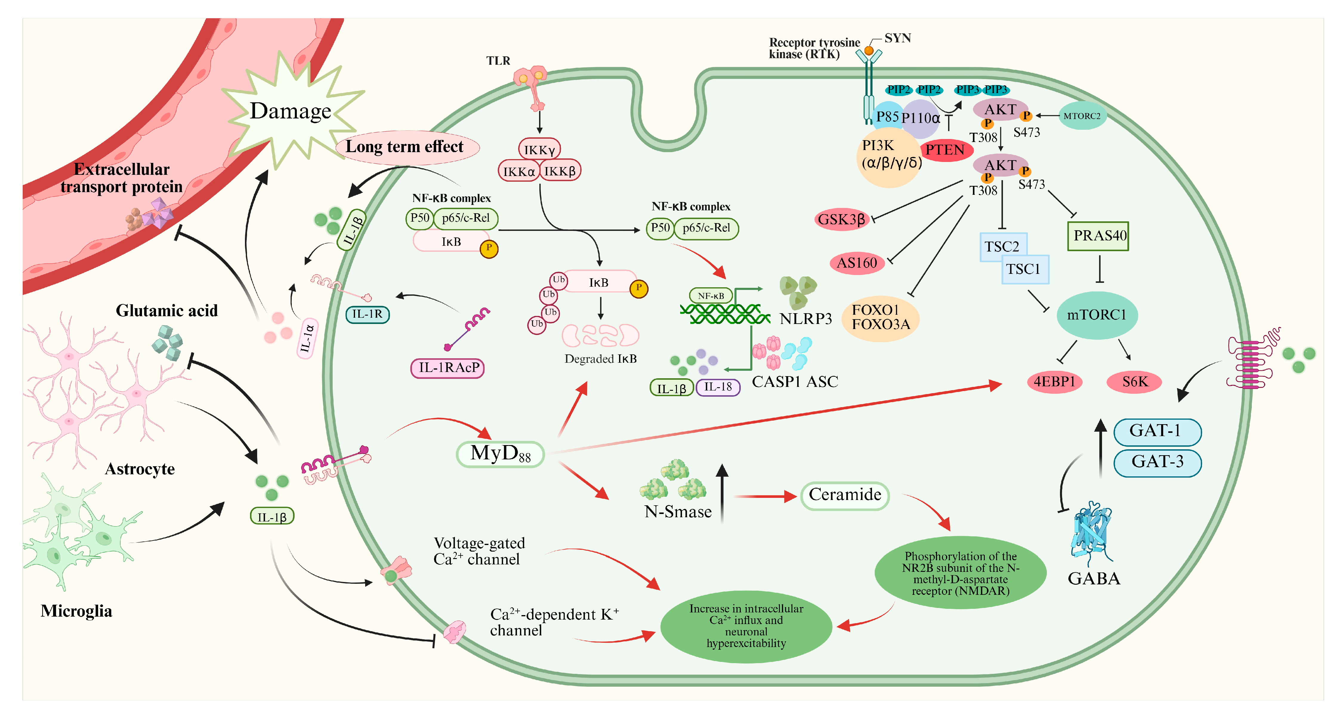 Pharmaceuticals 18 01522 g001 Pharmaceuticals 18 01522 g001