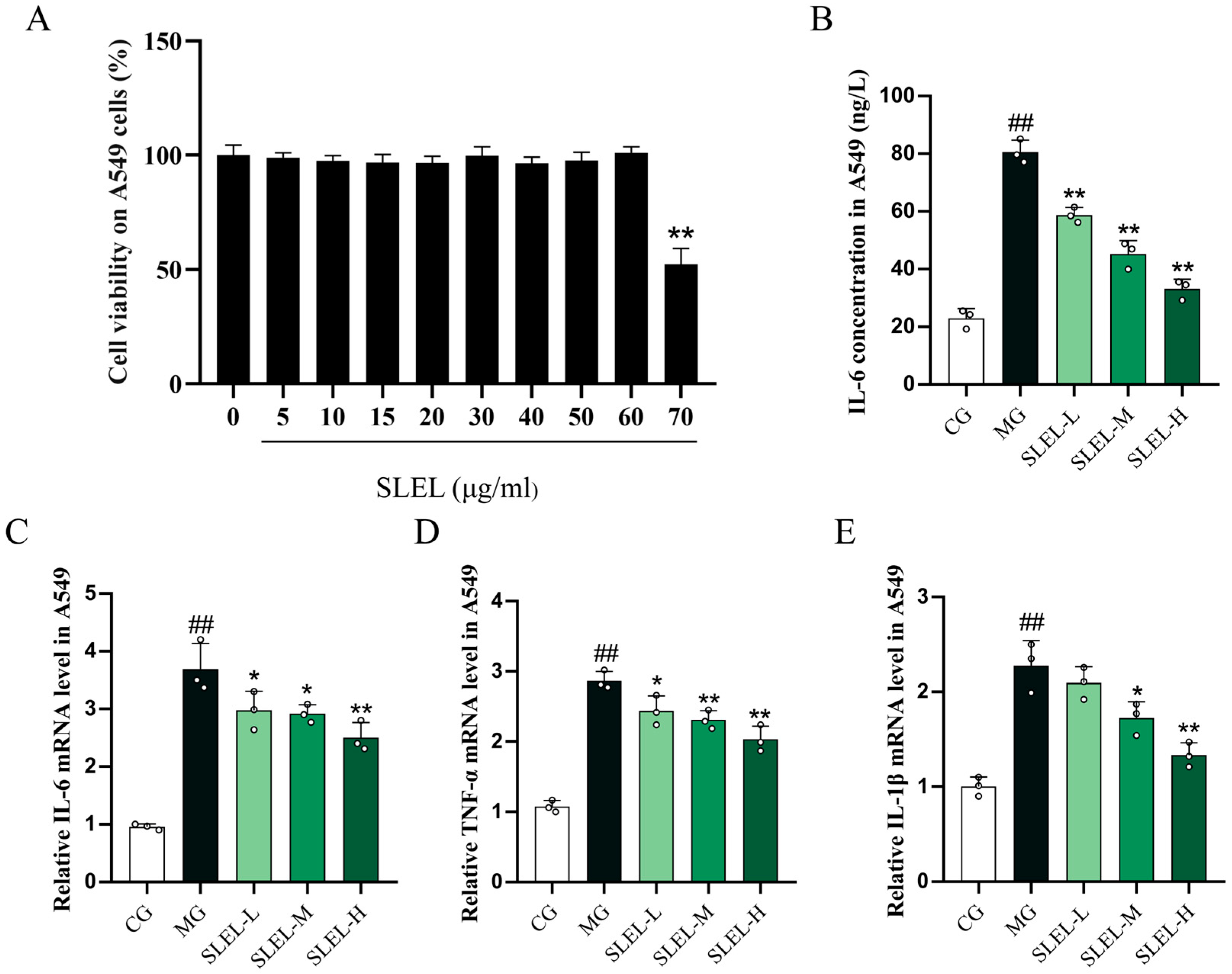 Pharmaceuticals 18 01523 g001 Pharmaceuticals 18 01523 g001