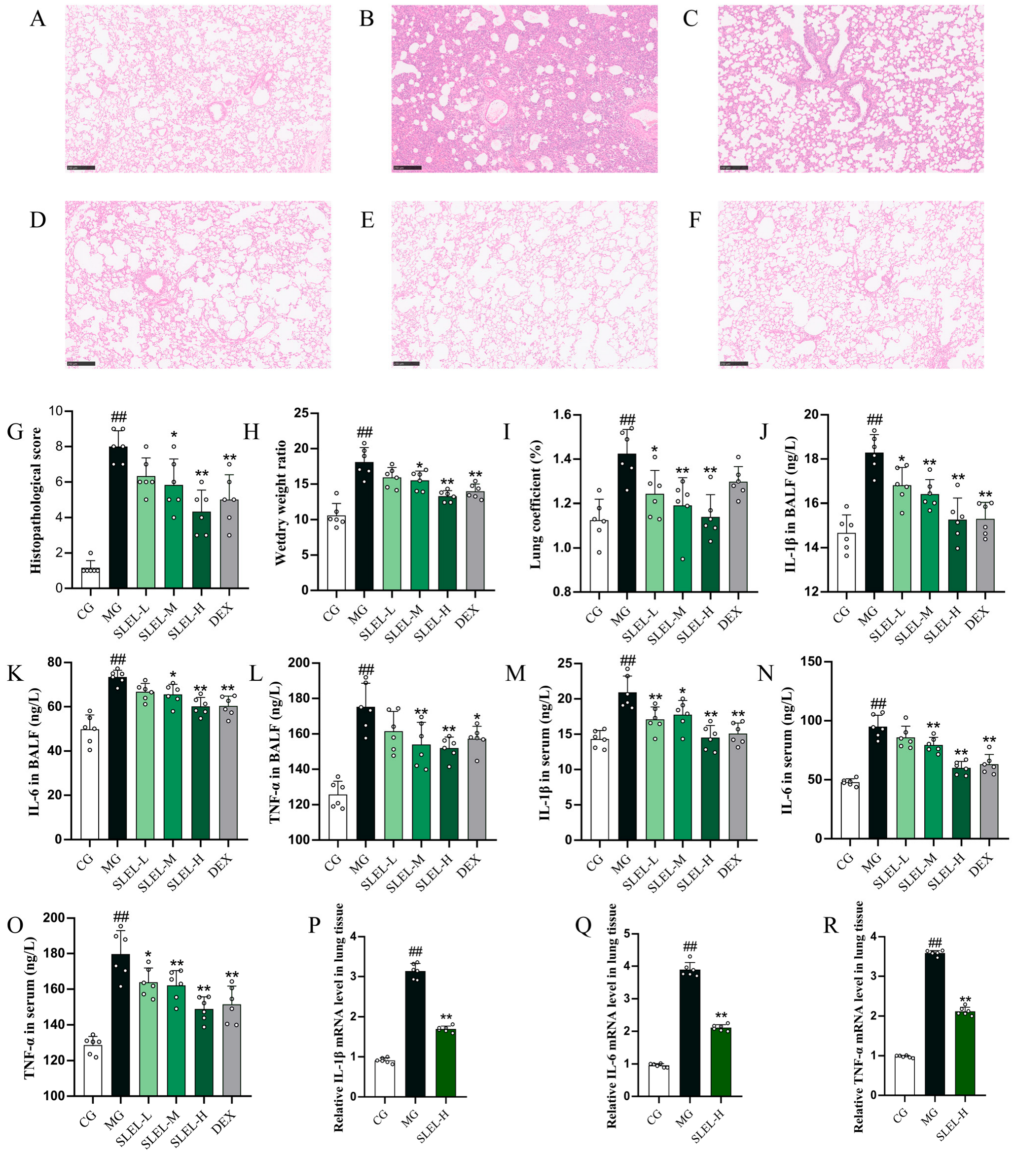 Pharmaceuticals 18 01523 g002 Pharmaceuticals 18 01523 g002