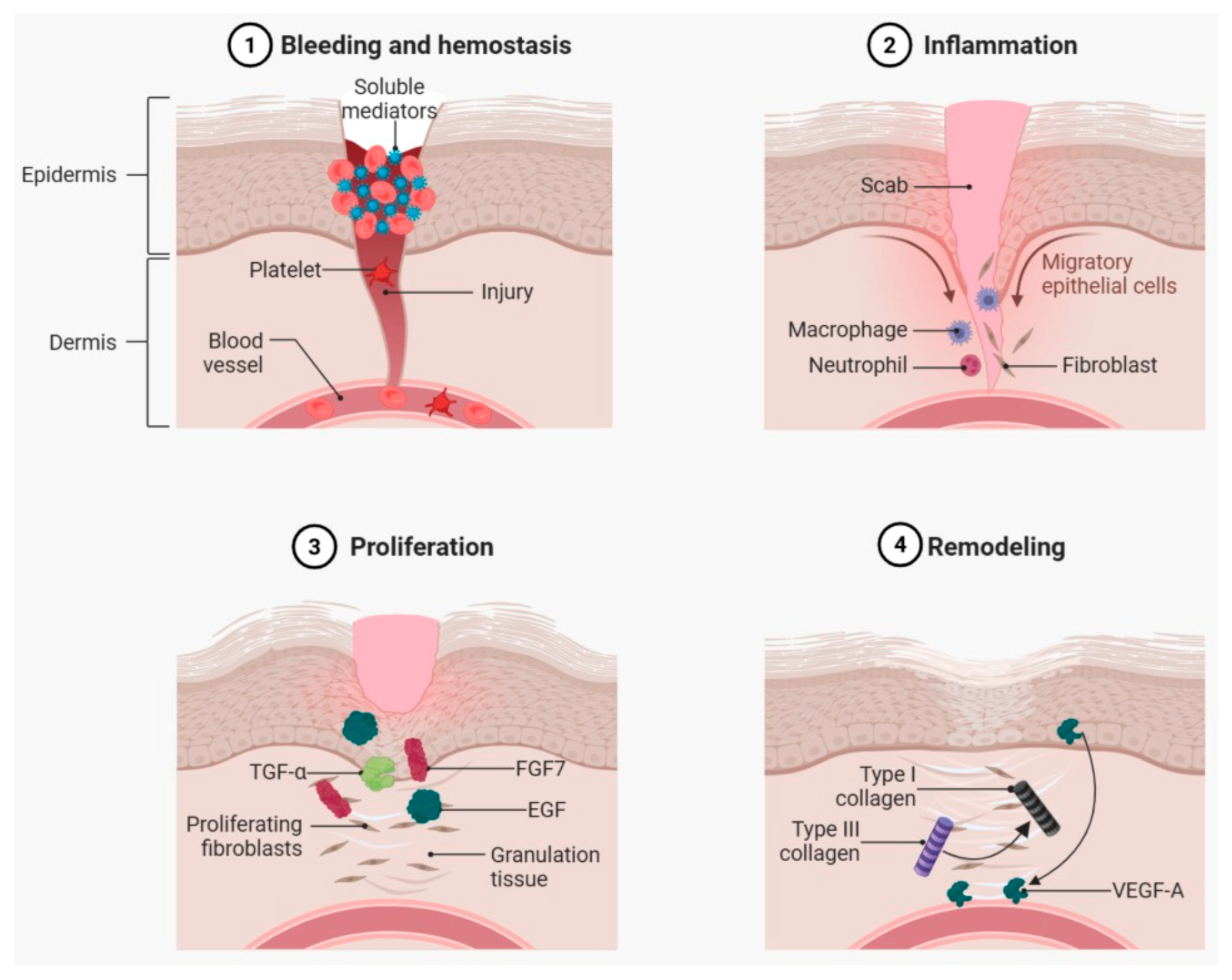 Pharmaceuticals 18 01525 g001