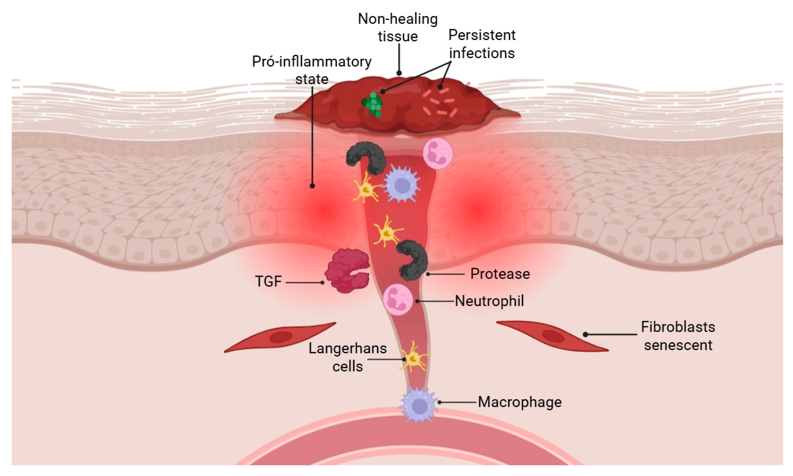 Pharmaceuticals 18 01525 g002