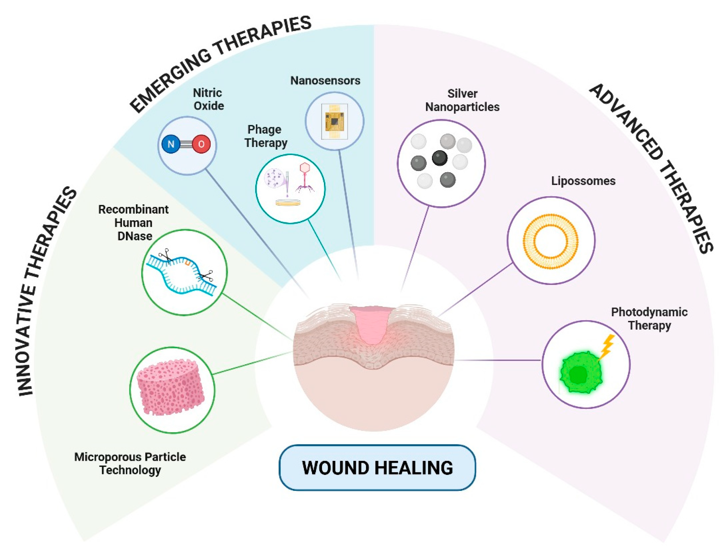 Pharmaceuticals 18 01525 g003