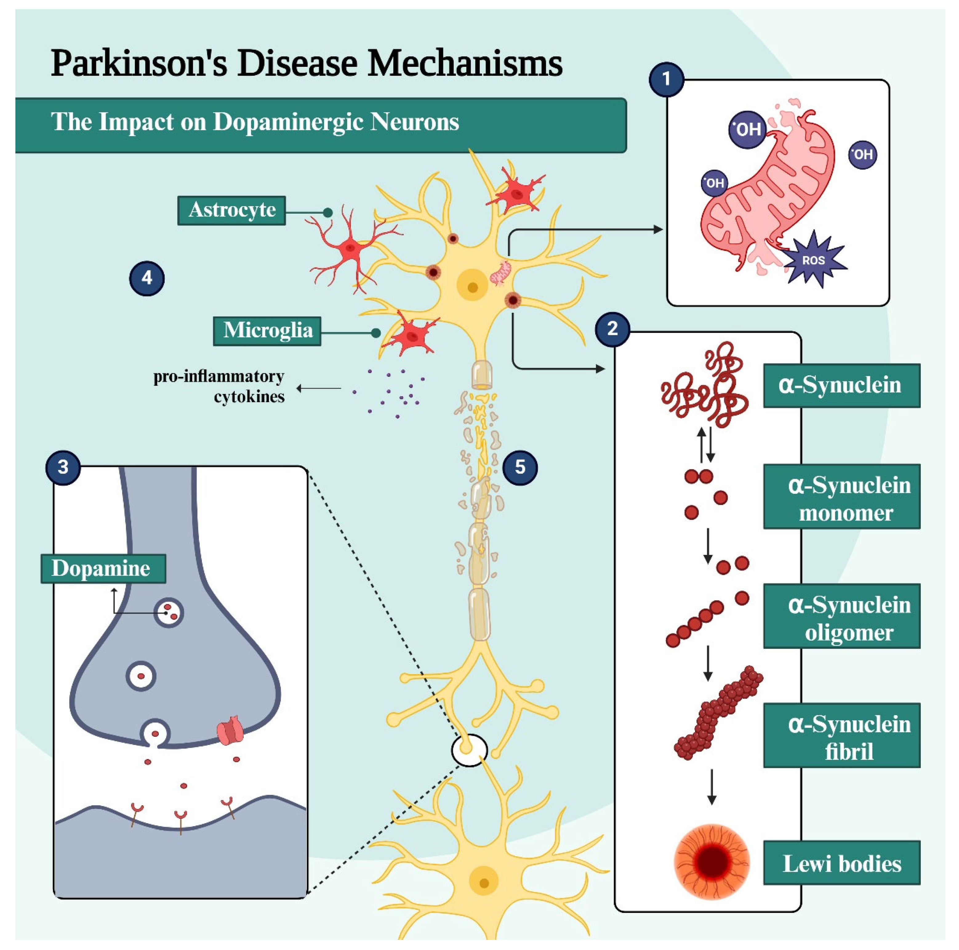 Pharmaceuticals 18 01526 g001
