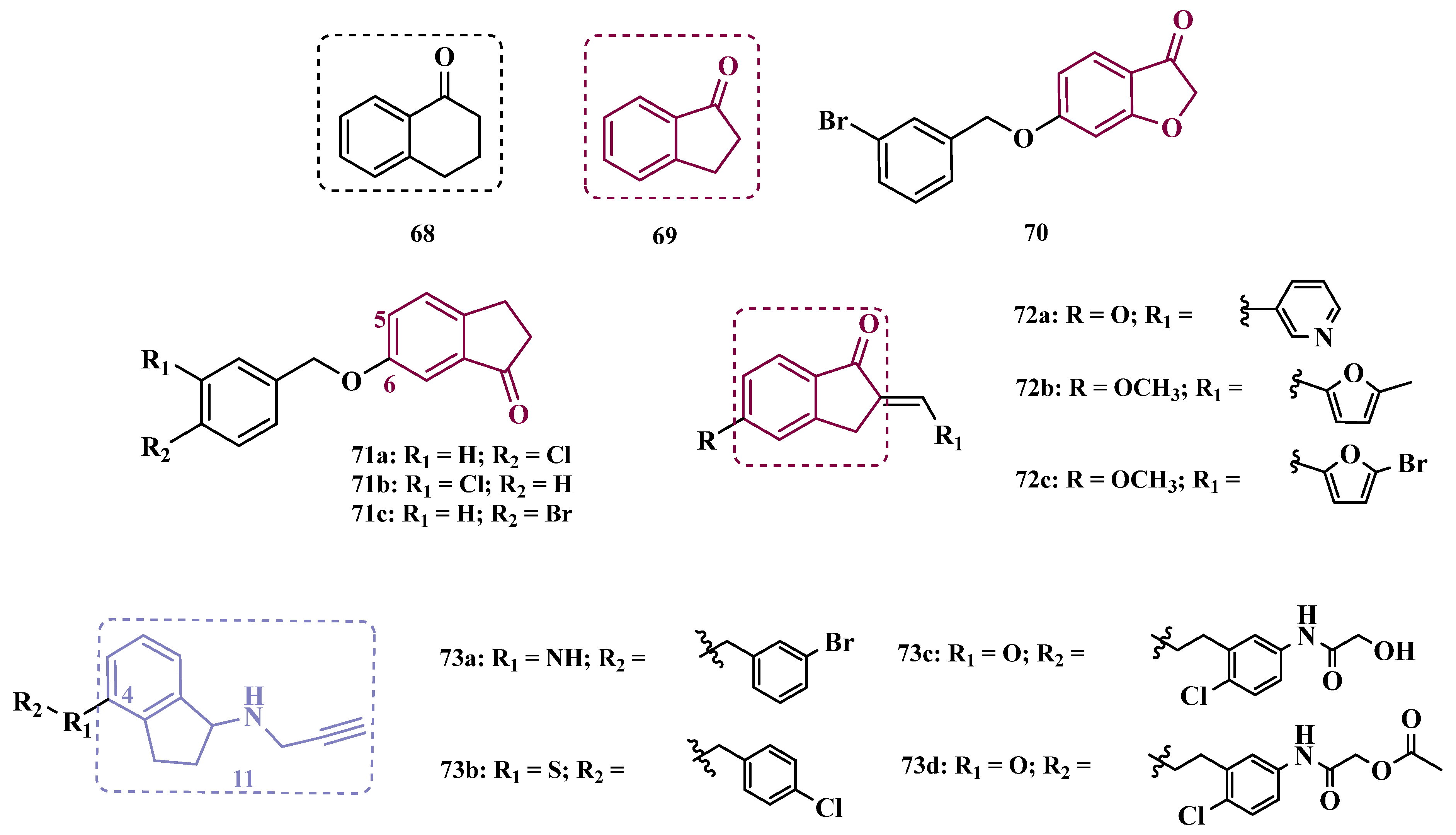 Pharmaceuticals 18 01526 g012
