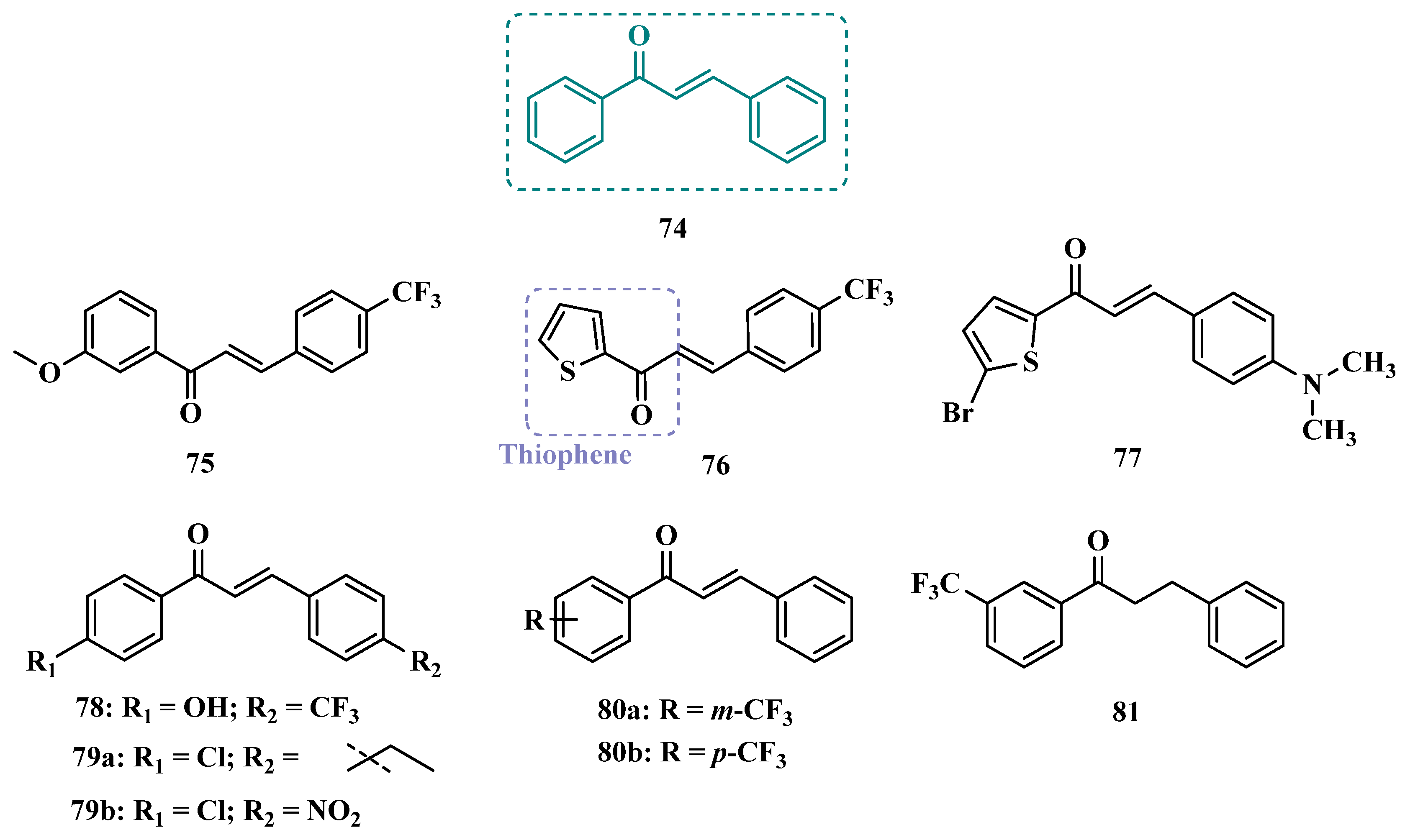 Pharmaceuticals 18 01526 g013