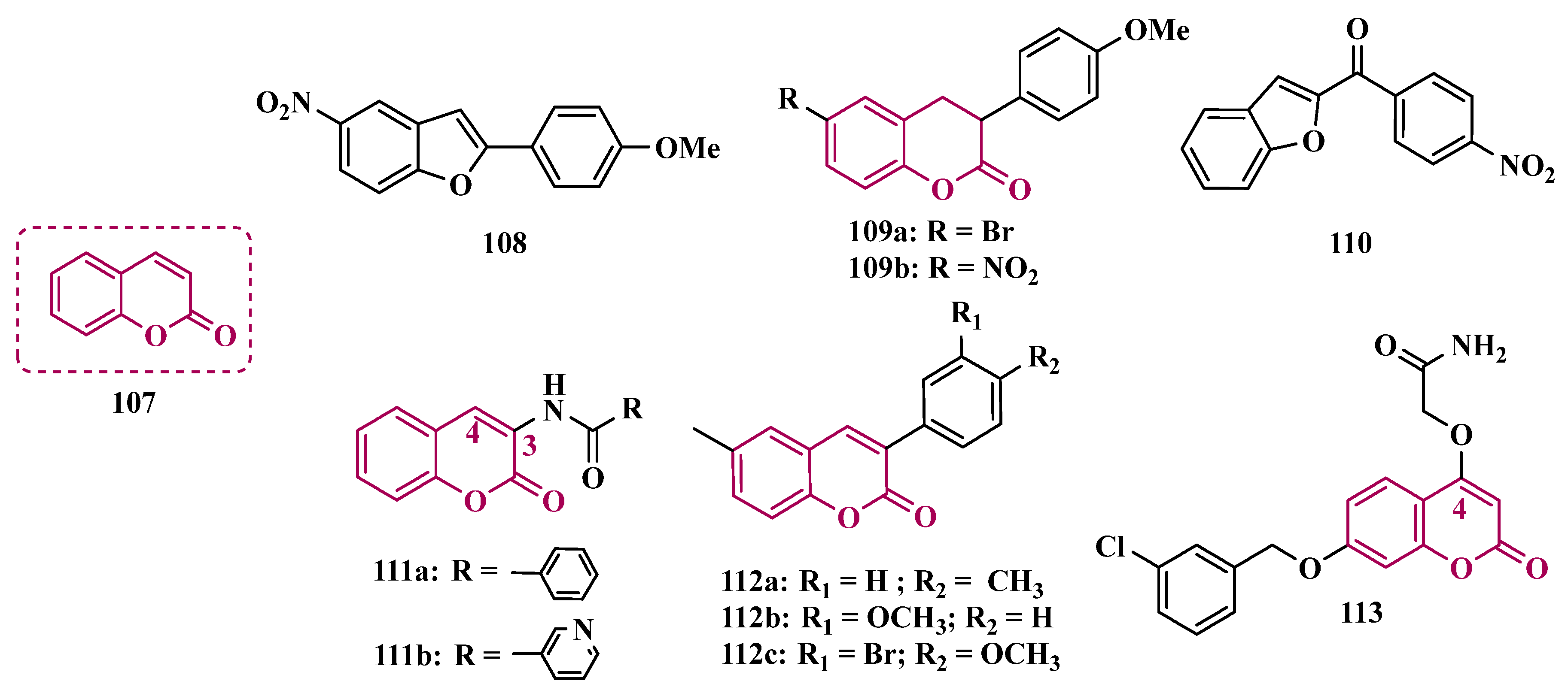 Pharmaceuticals 18 01526 g017