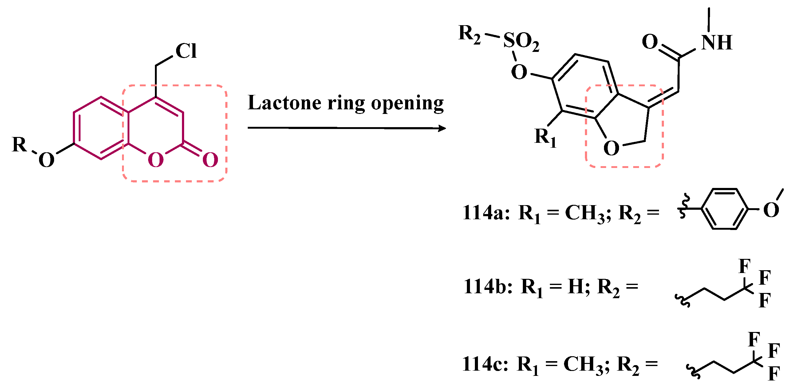 Pharmaceuticals 18 01526 g018