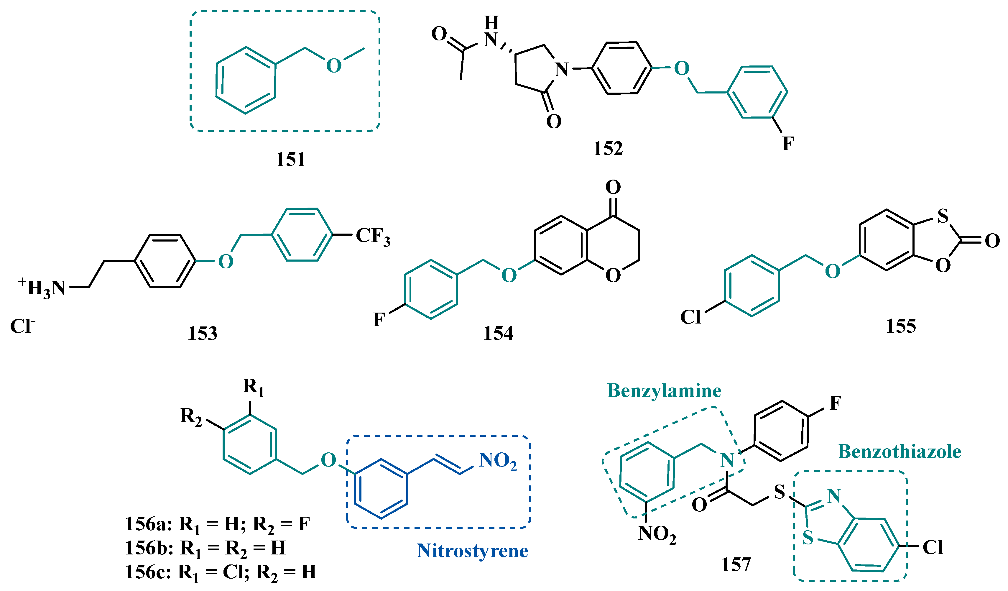 Pharmaceuticals 18 01526 g024