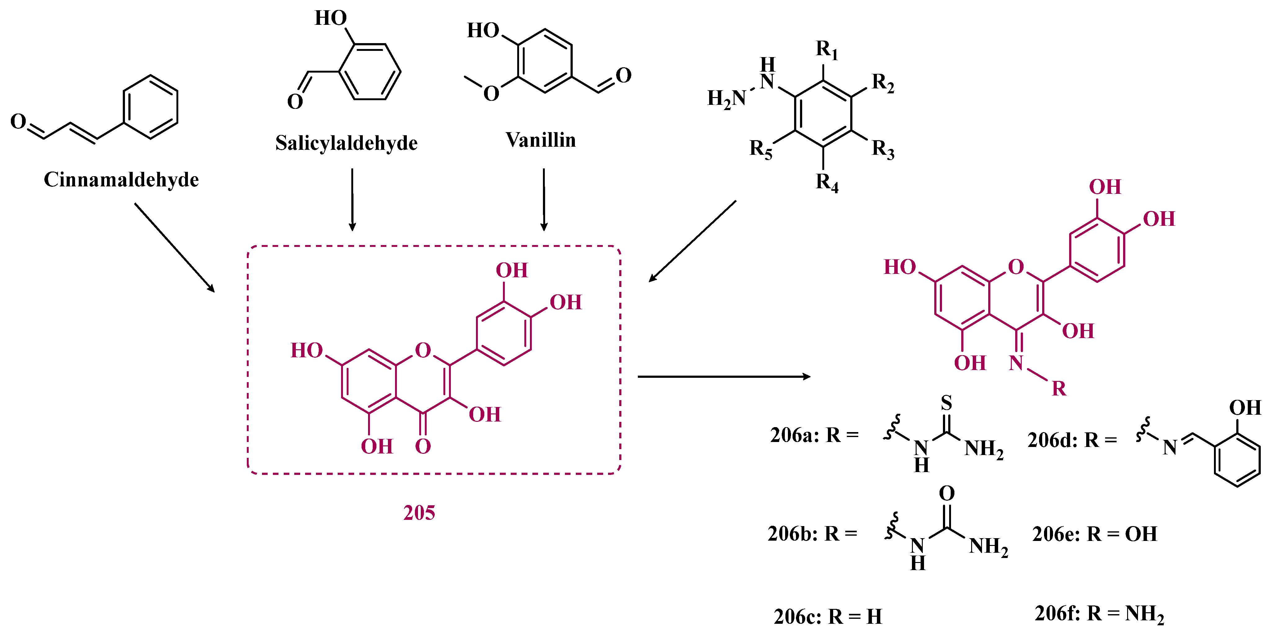 Pharmaceuticals 18 01526 g036