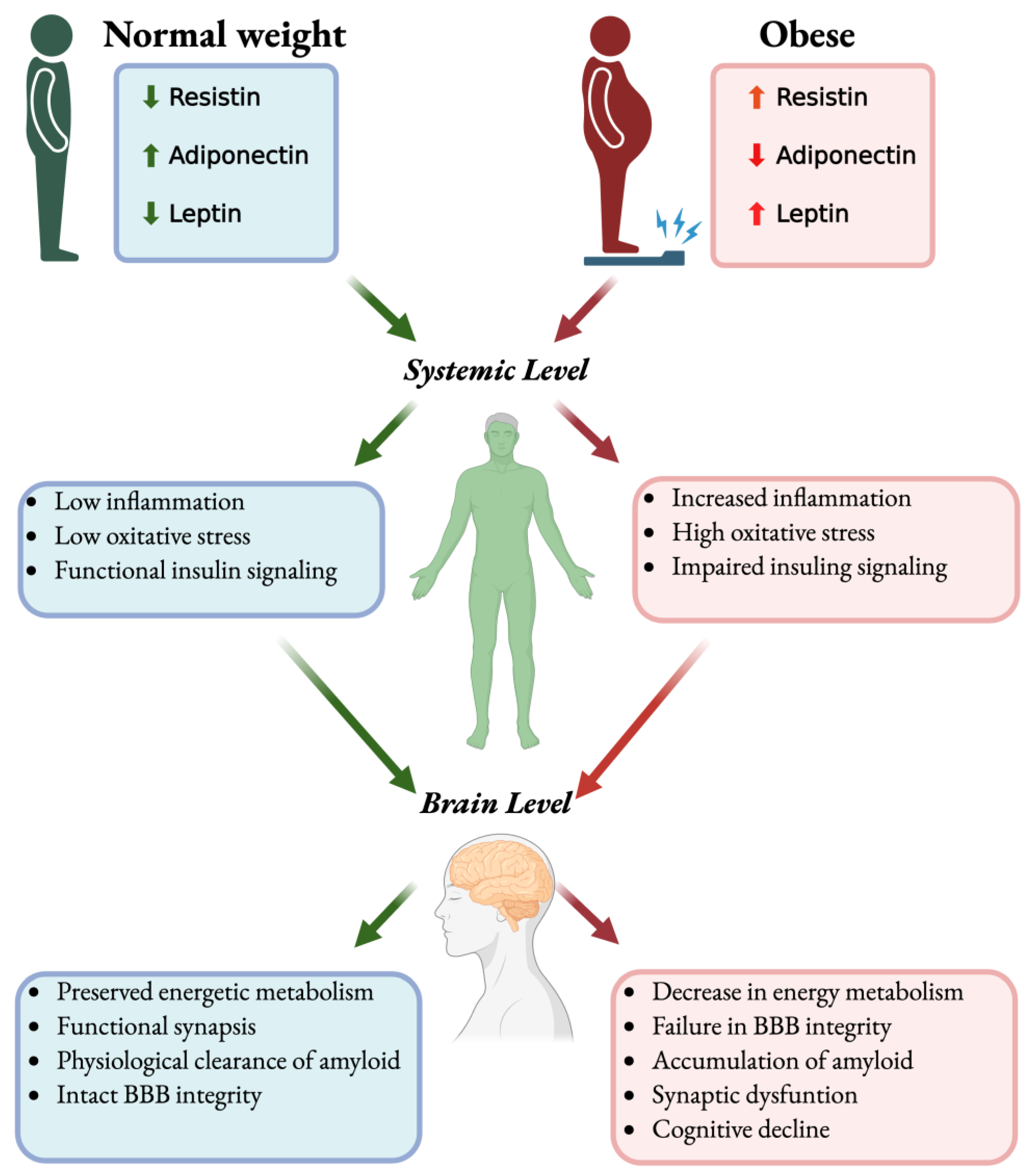 Pharmaceuticals 18 01527 g001