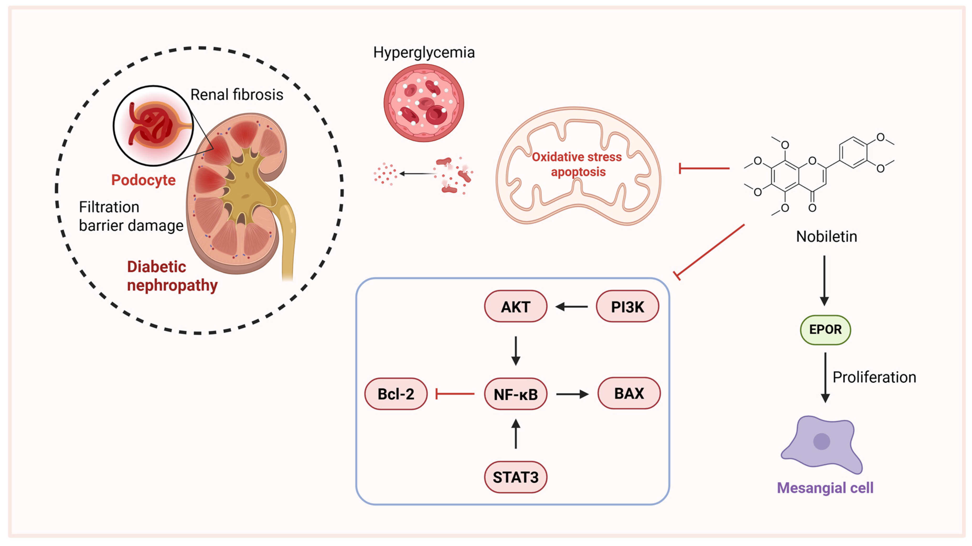 Pharmaceuticals 18 01528 g005 Pharmaceuticals 18 01528 g005