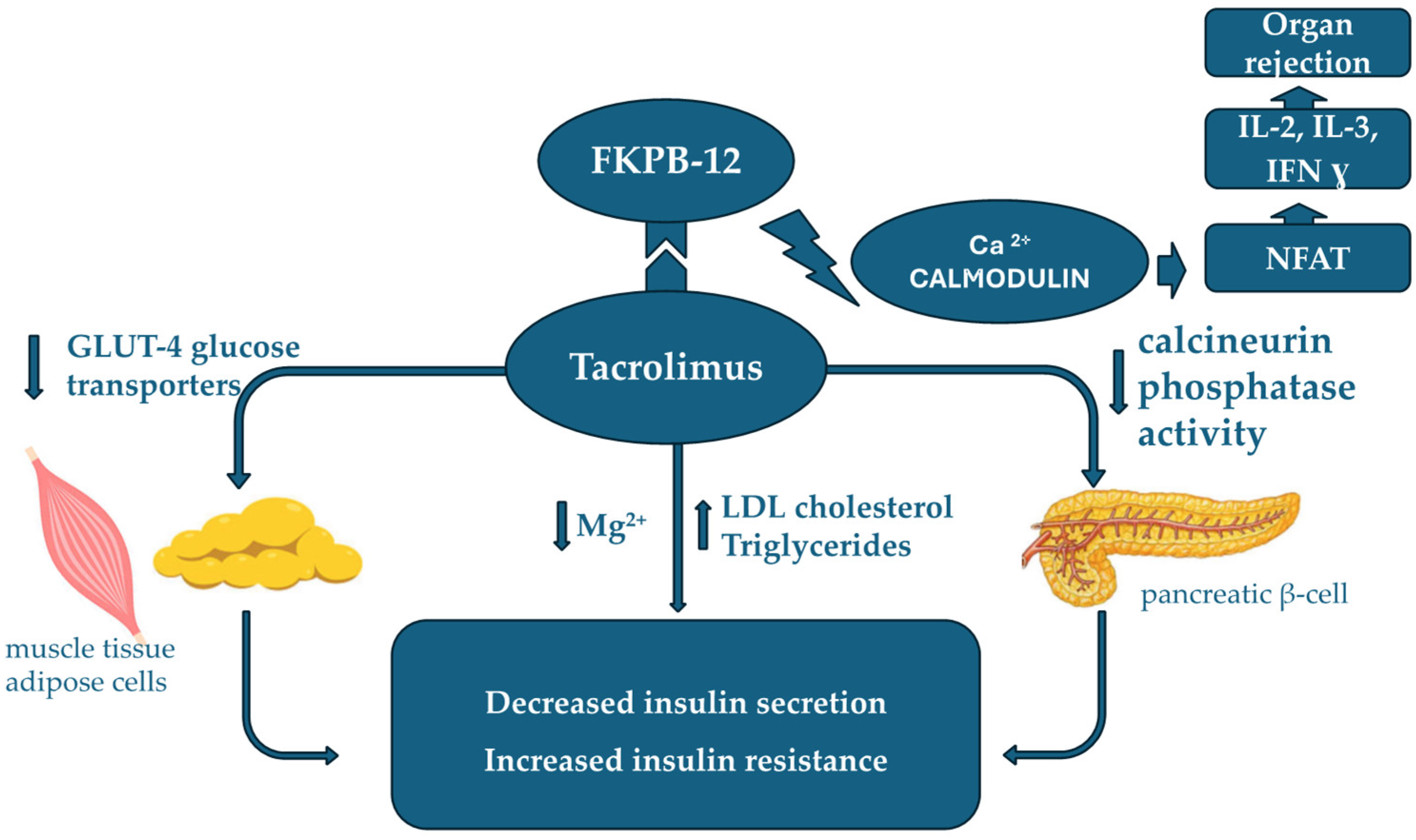 Pharmaceuticals 18 01532 g001 Pharmaceuticals 18 01532 g001