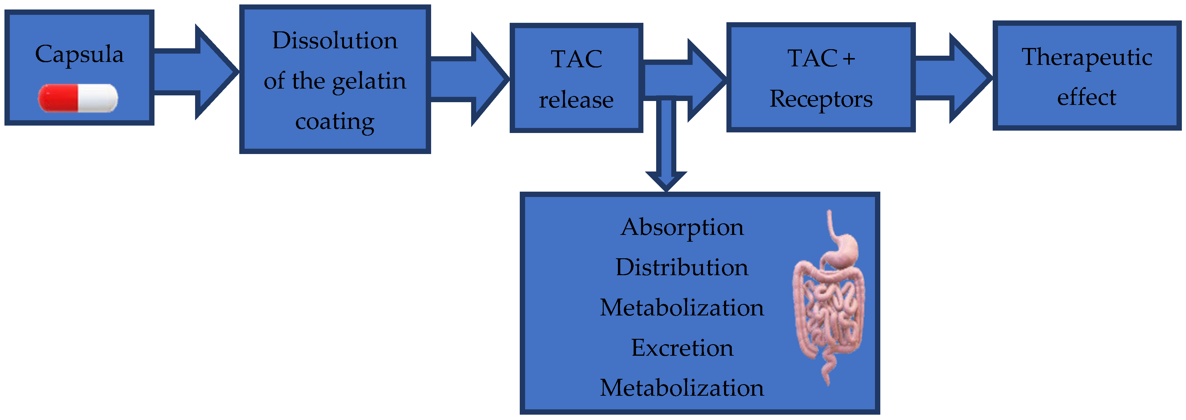 Pharmaceuticals 18 01532 g003 Pharmaceuticals 18 01532 g003