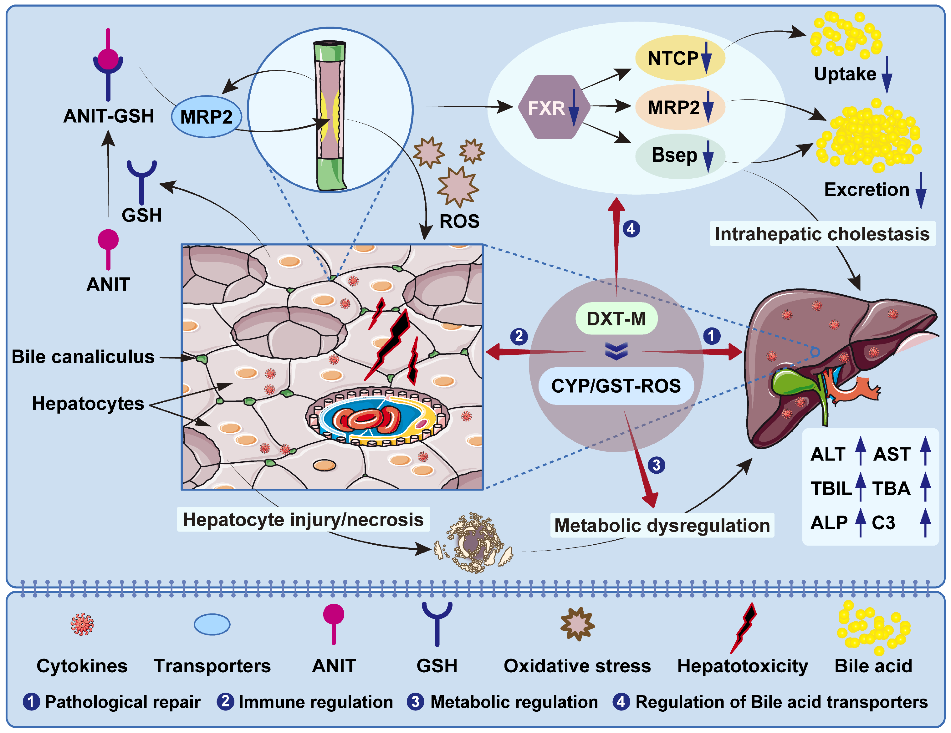 Pharmaceuticals 18 01534 g001 Pharmaceuticals 18 01534 g001