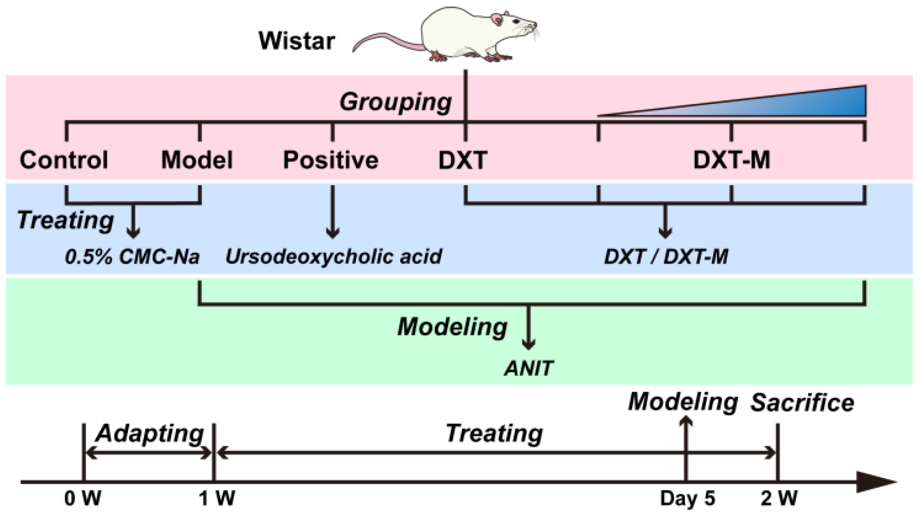 Pharmaceuticals 18 01534 g011 Pharmaceuticals 18 01534 g011