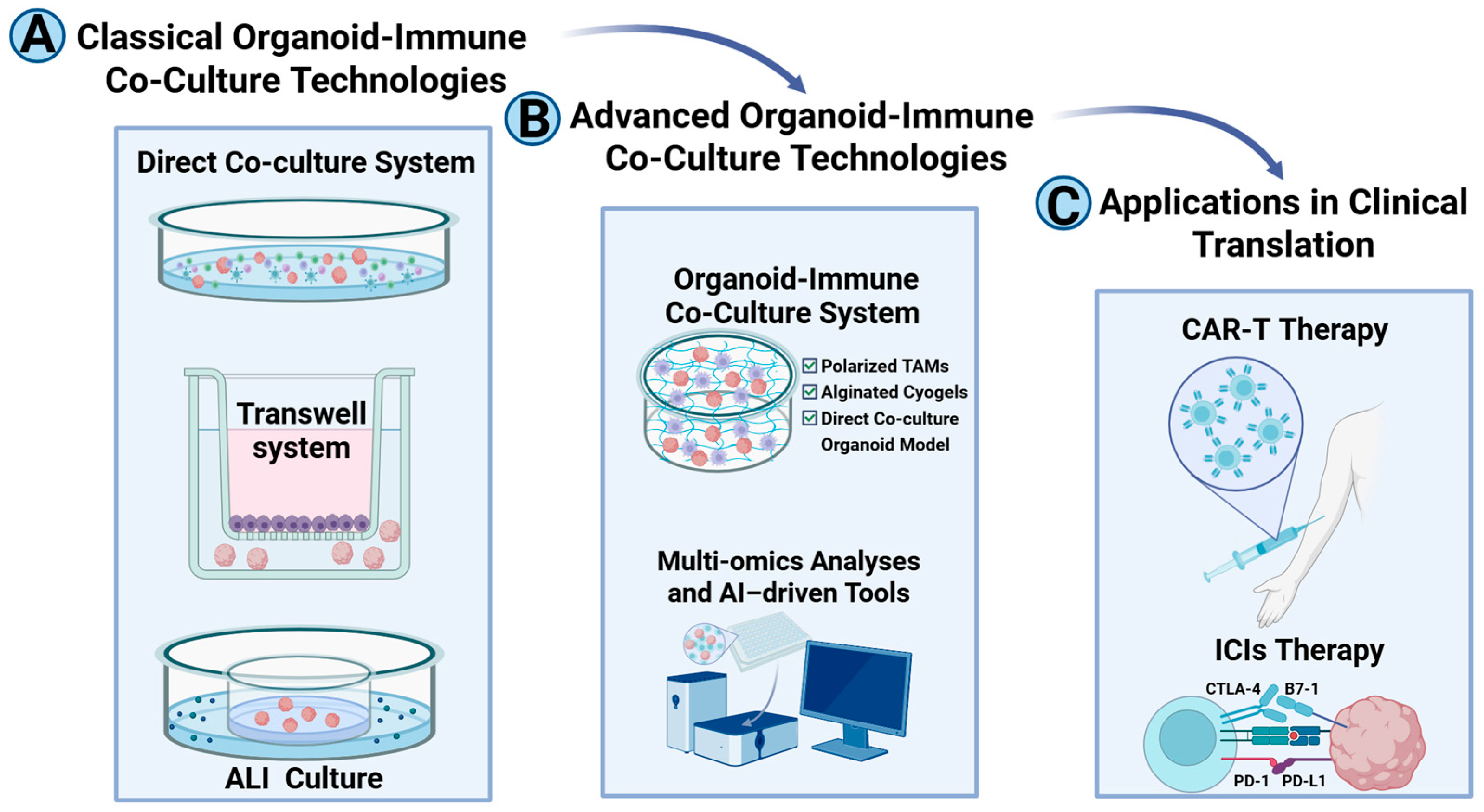 Pharmaceuticals 18 01540 g001