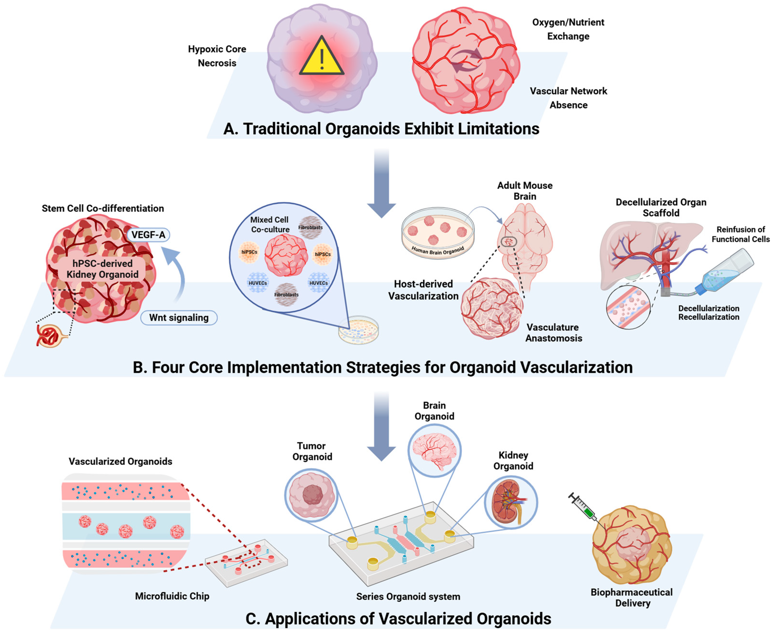 Pharmaceuticals 18 01540 g002