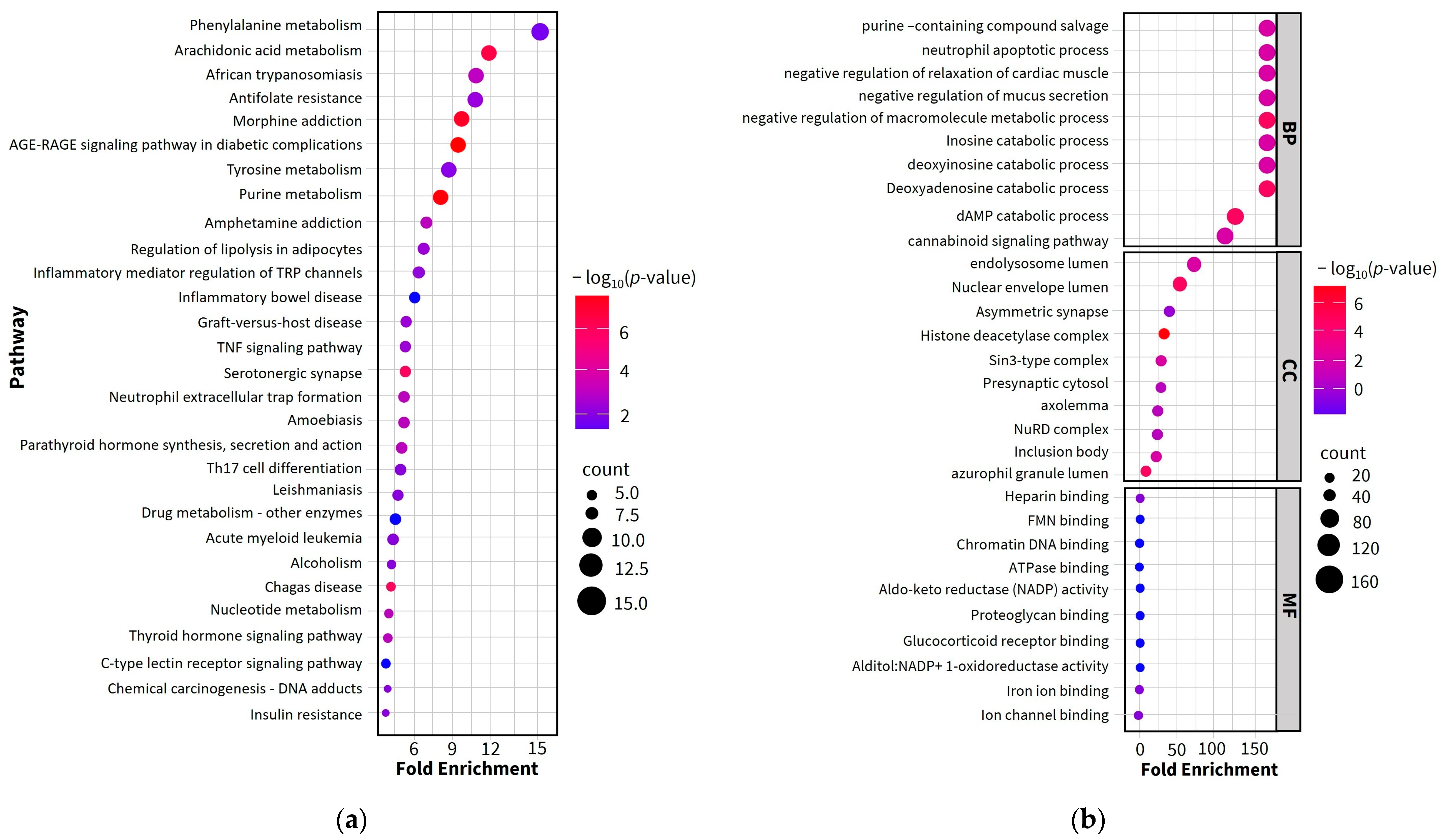 Pharmaceuticals 18 01541 g004 Pharmaceuticals 18 01541 g004