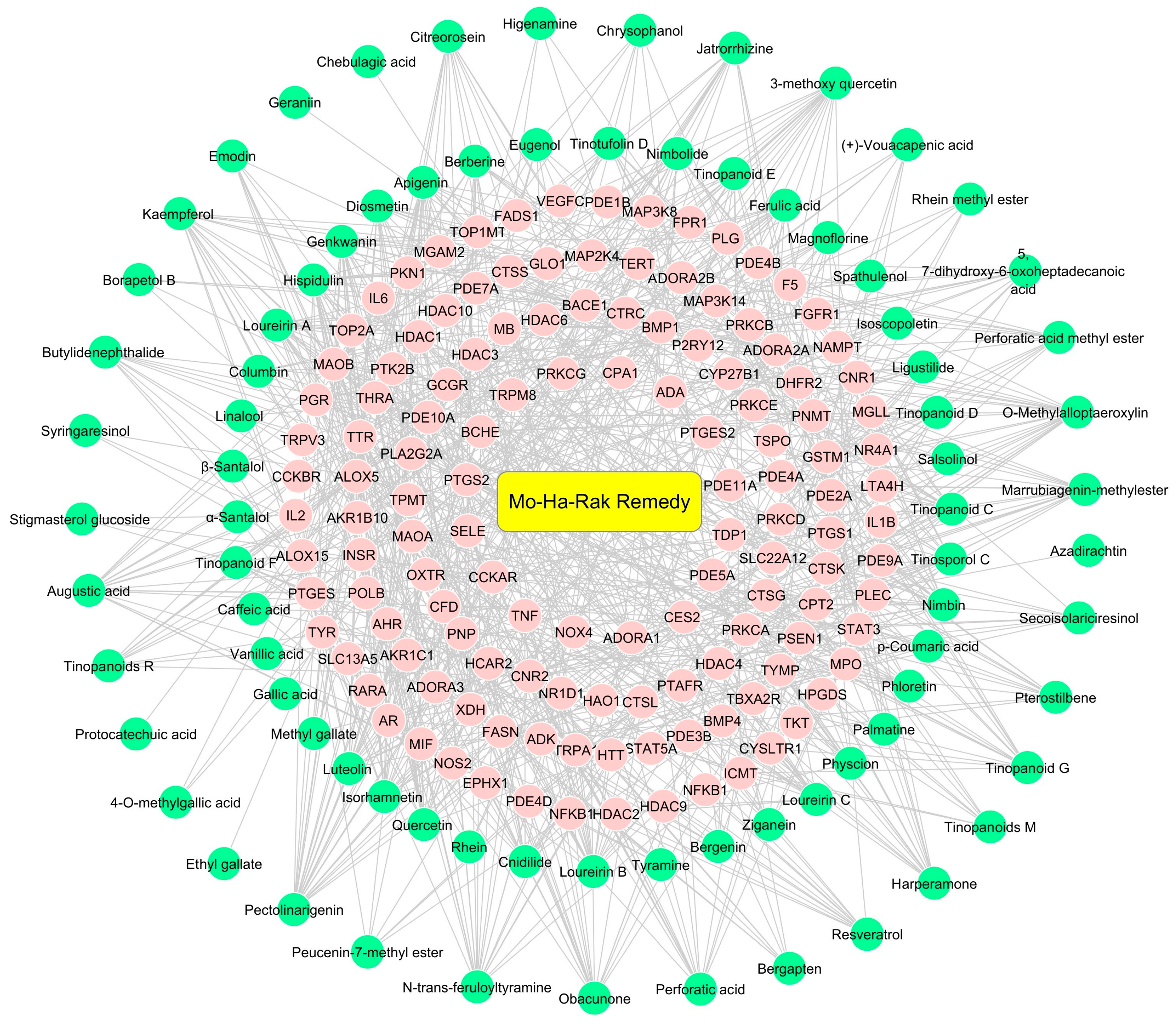 Pharmaceuticals 18 01541 g005 Pharmaceuticals 18 01541 g005