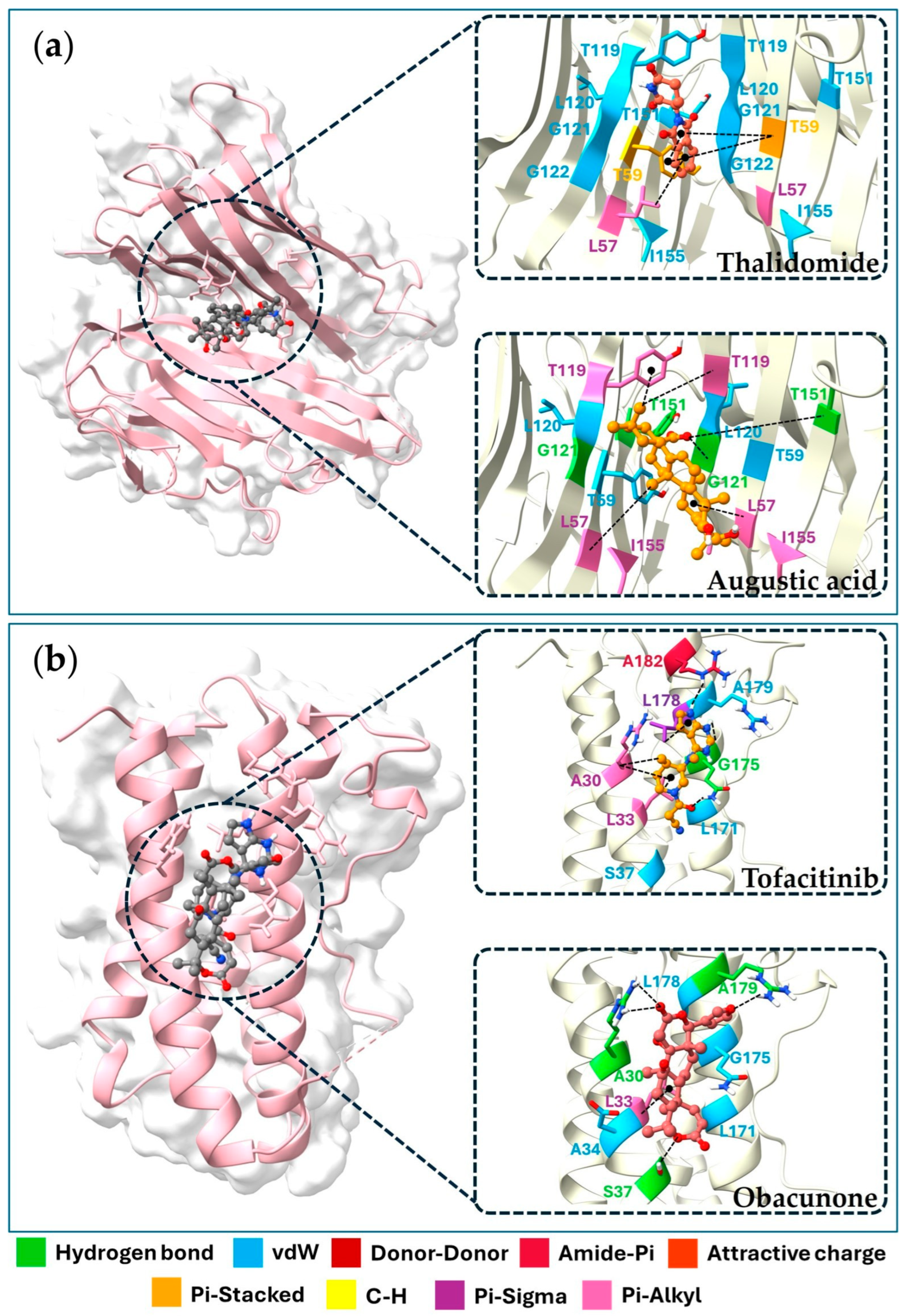 Pharmaceuticals 18 01541 g006 Pharmaceuticals 18 01541 g006