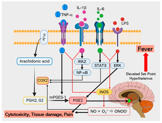 Integration of Network Pharmacology, Molecular Docking, and In