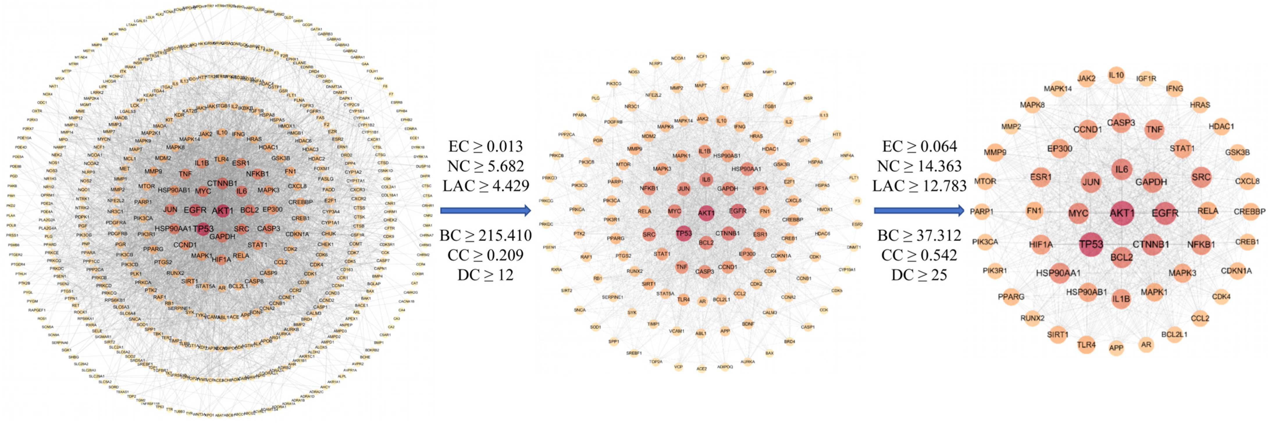 Pharmaceuticals 18 01545 g003 Pharmaceuticals 18 01545 g003