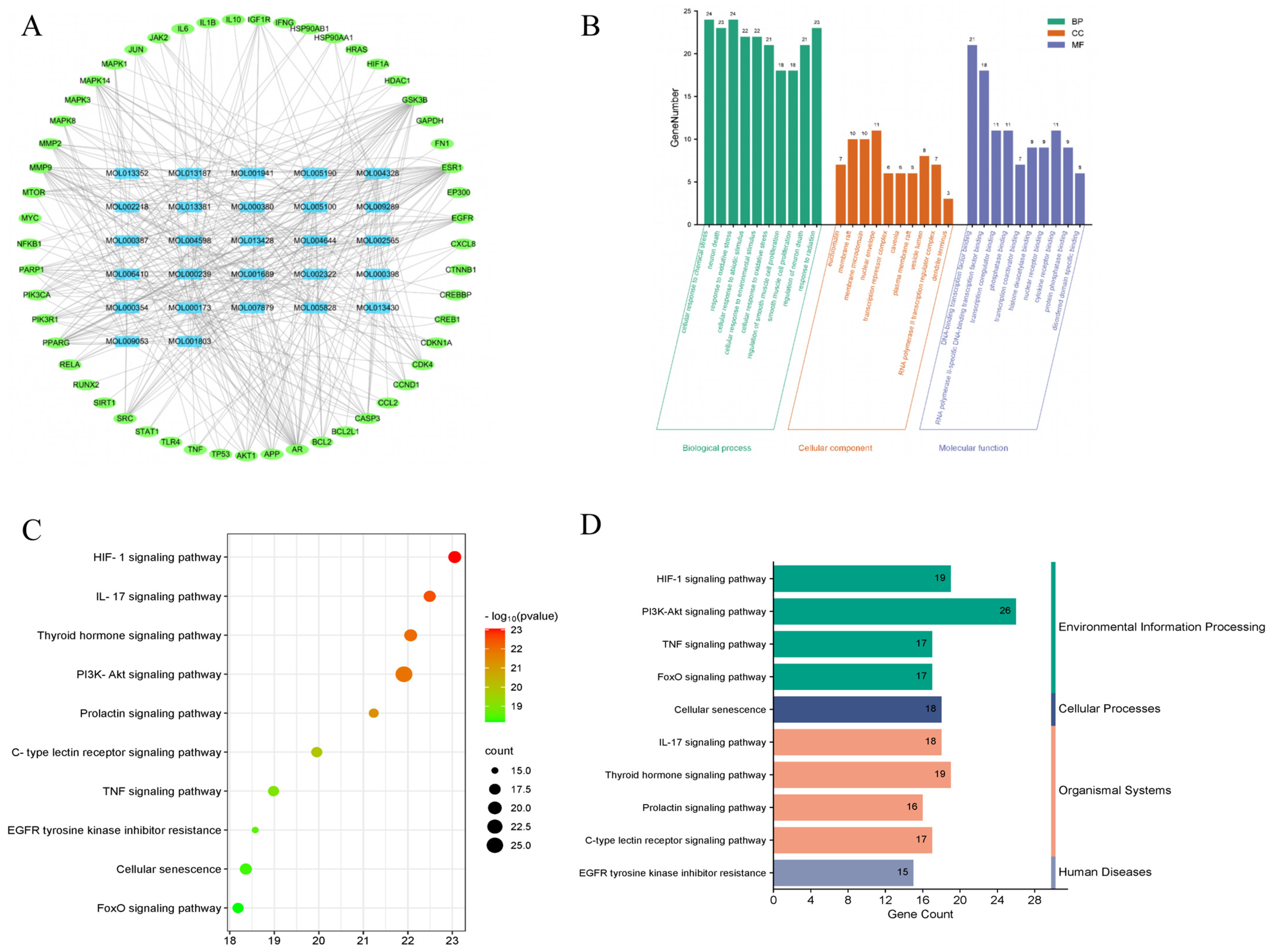 Pharmaceuticals 18 01545 g004 Pharmaceuticals 18 01545 g004