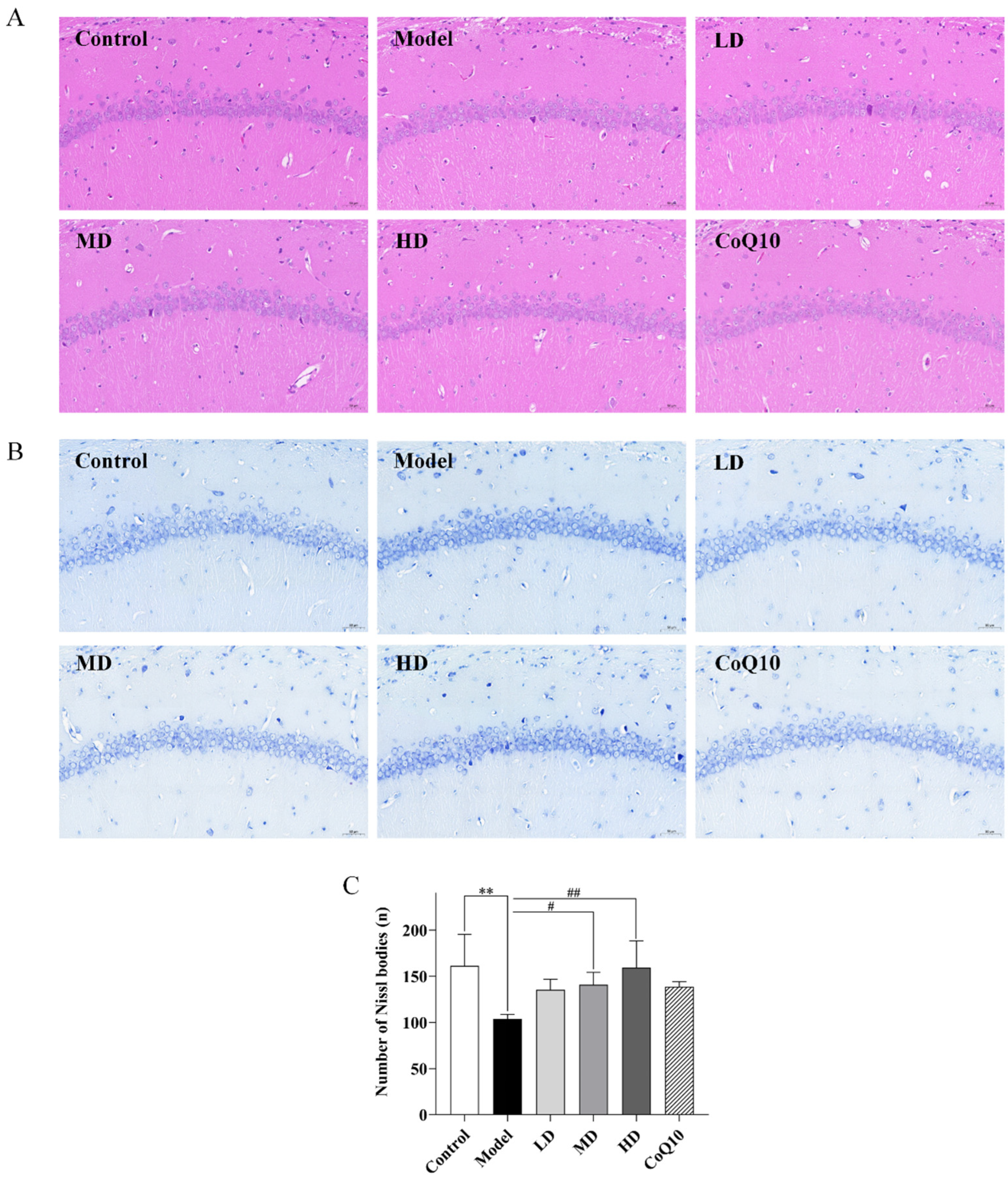 Pharmaceuticals 18 01545 g008 Pharmaceuticals 18 01545 g008