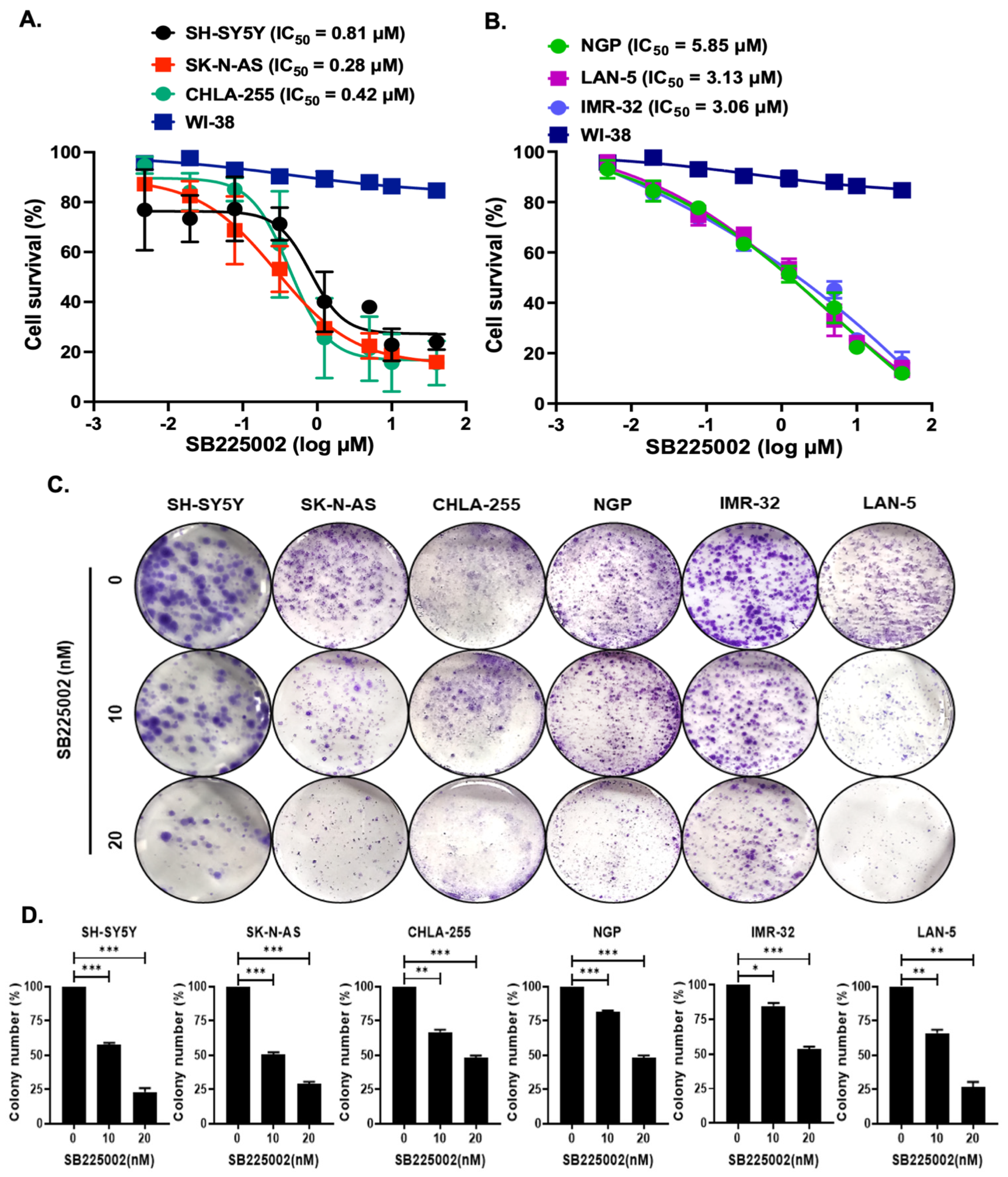 Pharmaceuticals 18 01547 g002 Pharmaceuticals 18 01547 g002