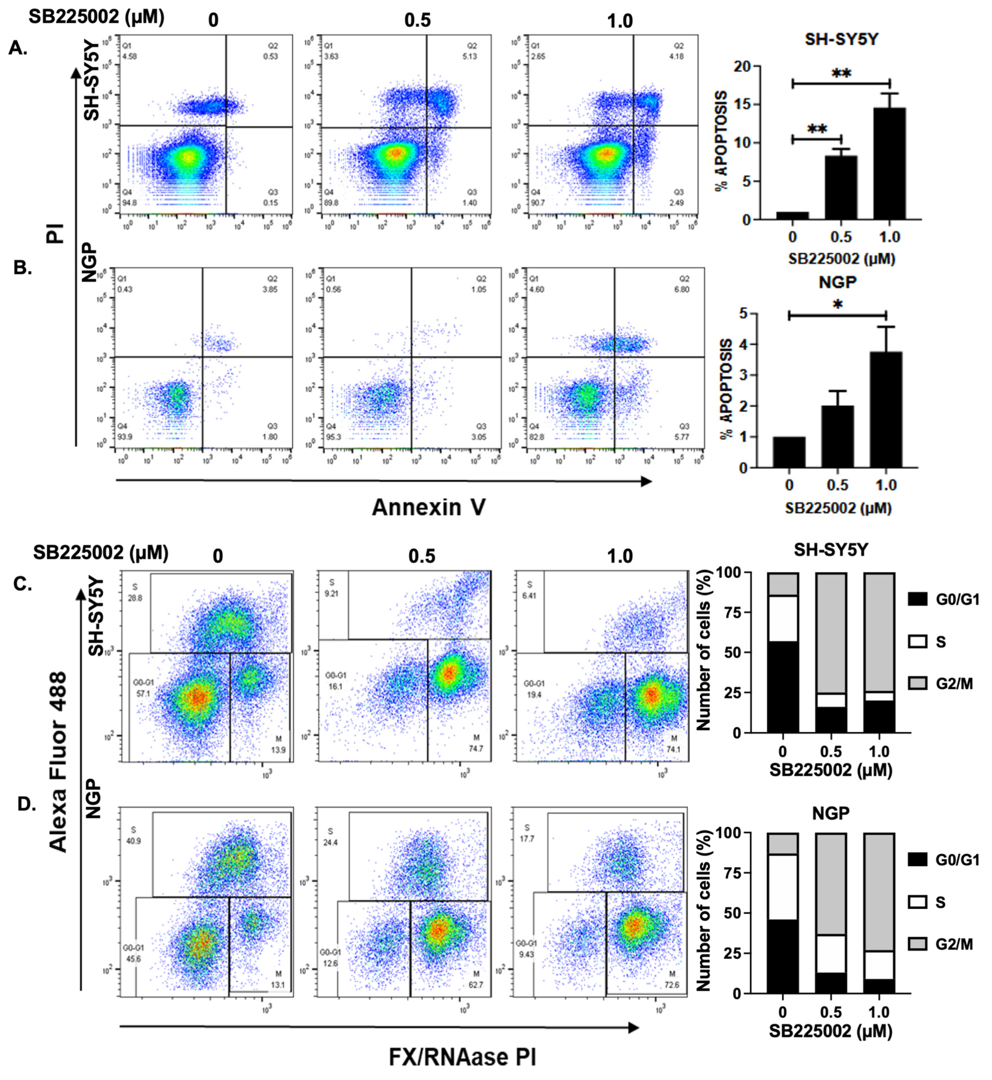Pharmaceuticals 18 01547 g003 Pharmaceuticals 18 01547 g003