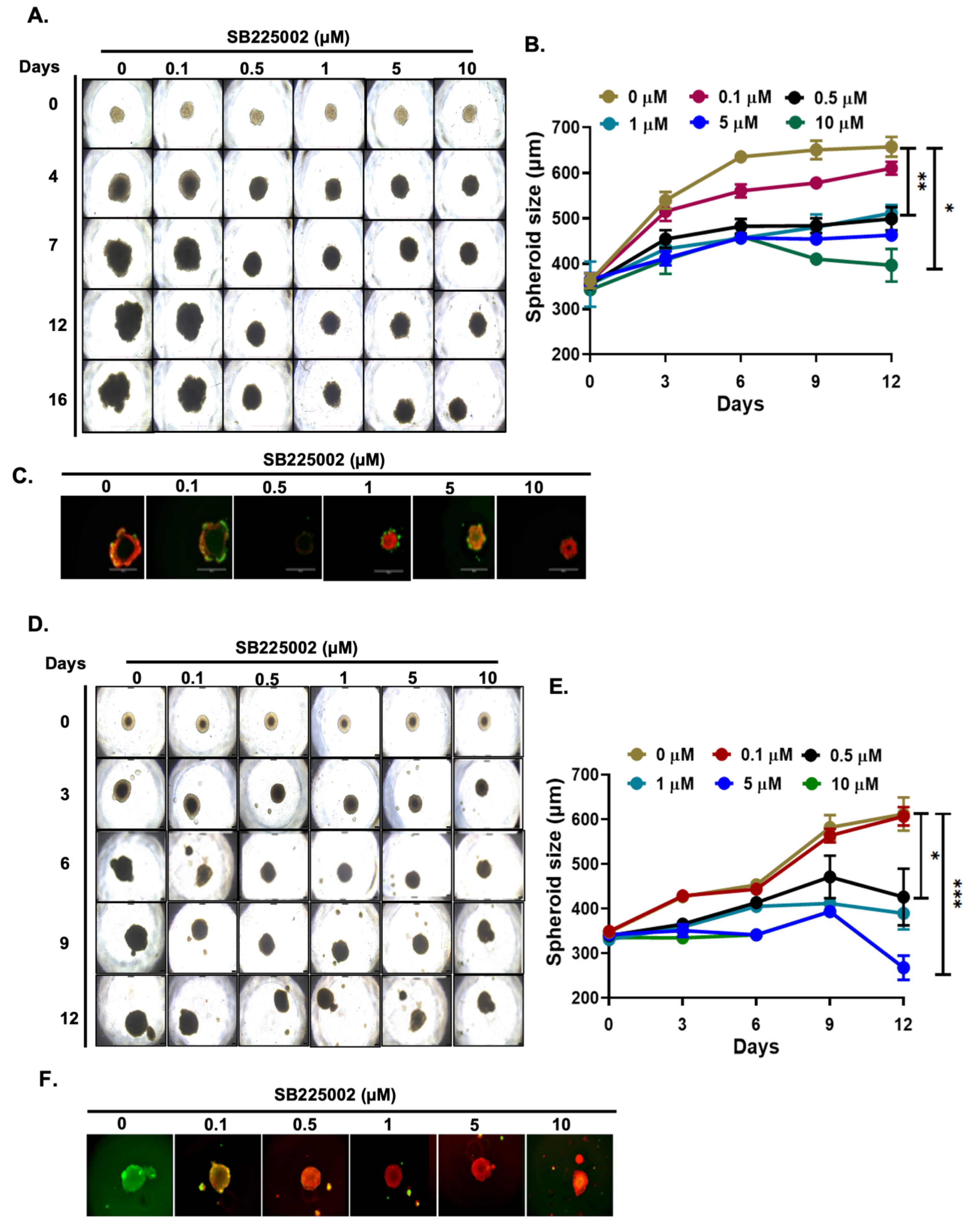 Pharmaceuticals 18 01547 g004 Pharmaceuticals 18 01547 g004